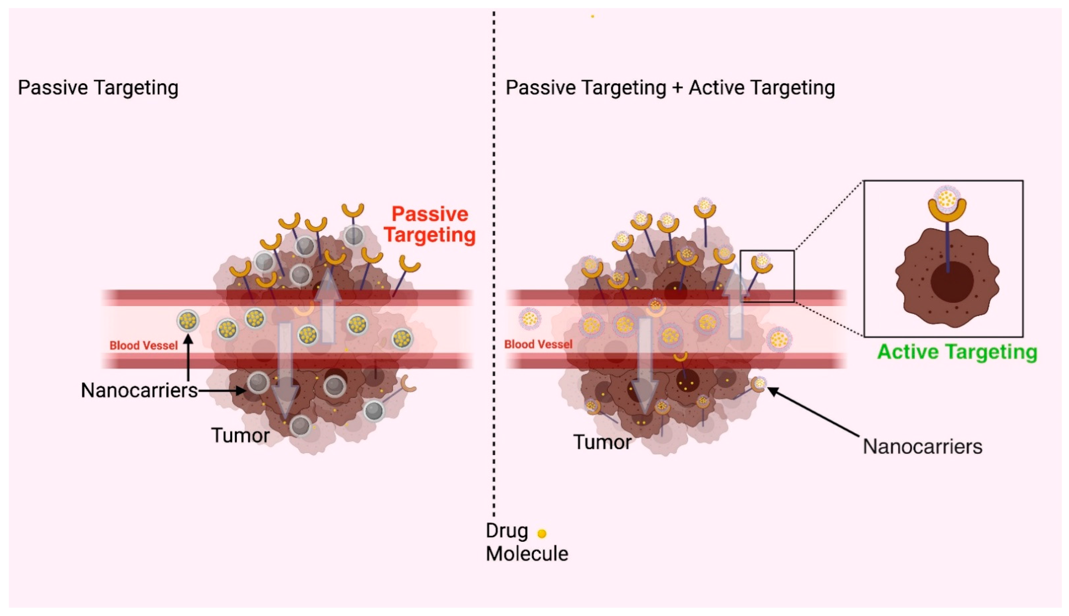 Polymers 14 03545 g006 550