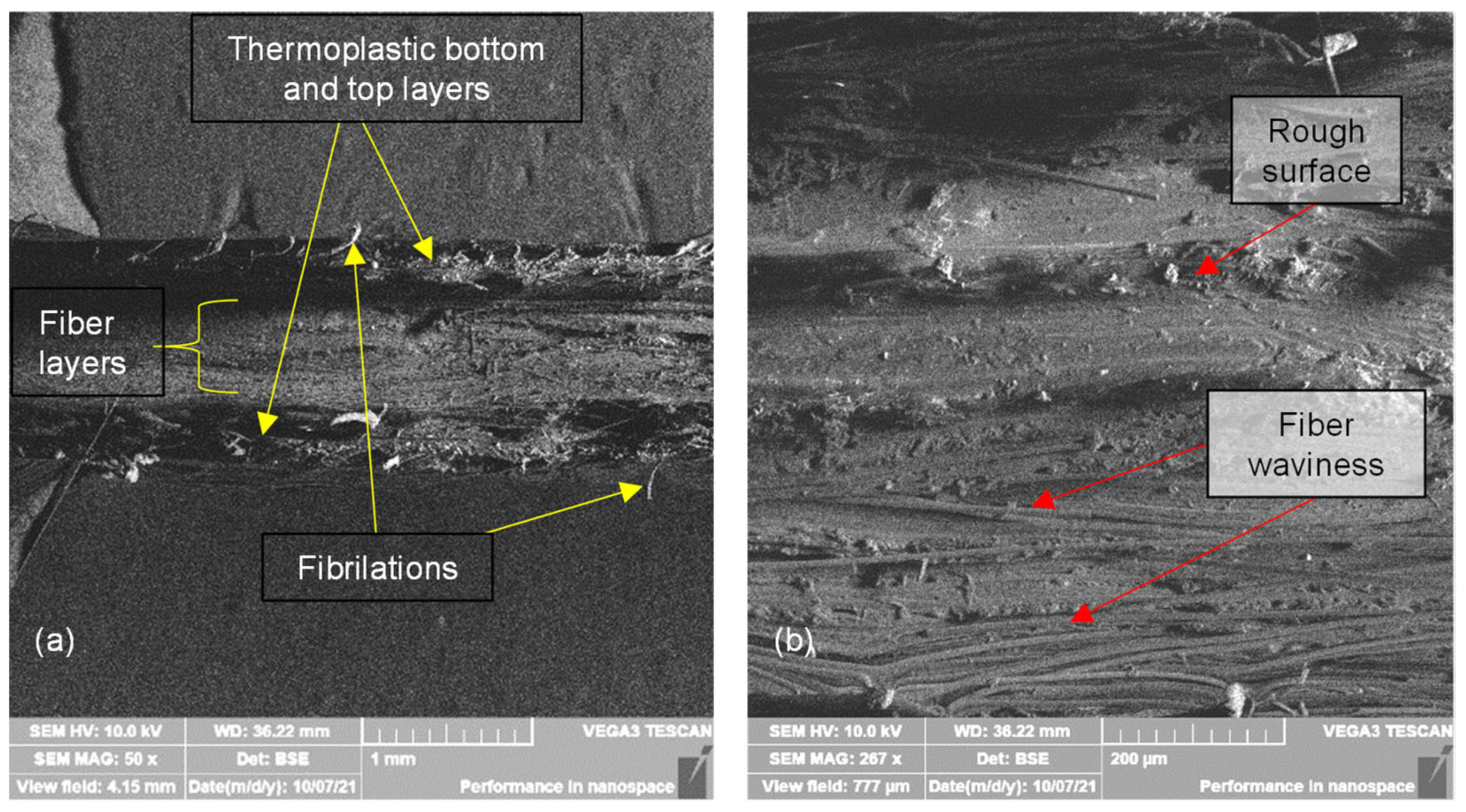 Polymers 14 03546 g011 550