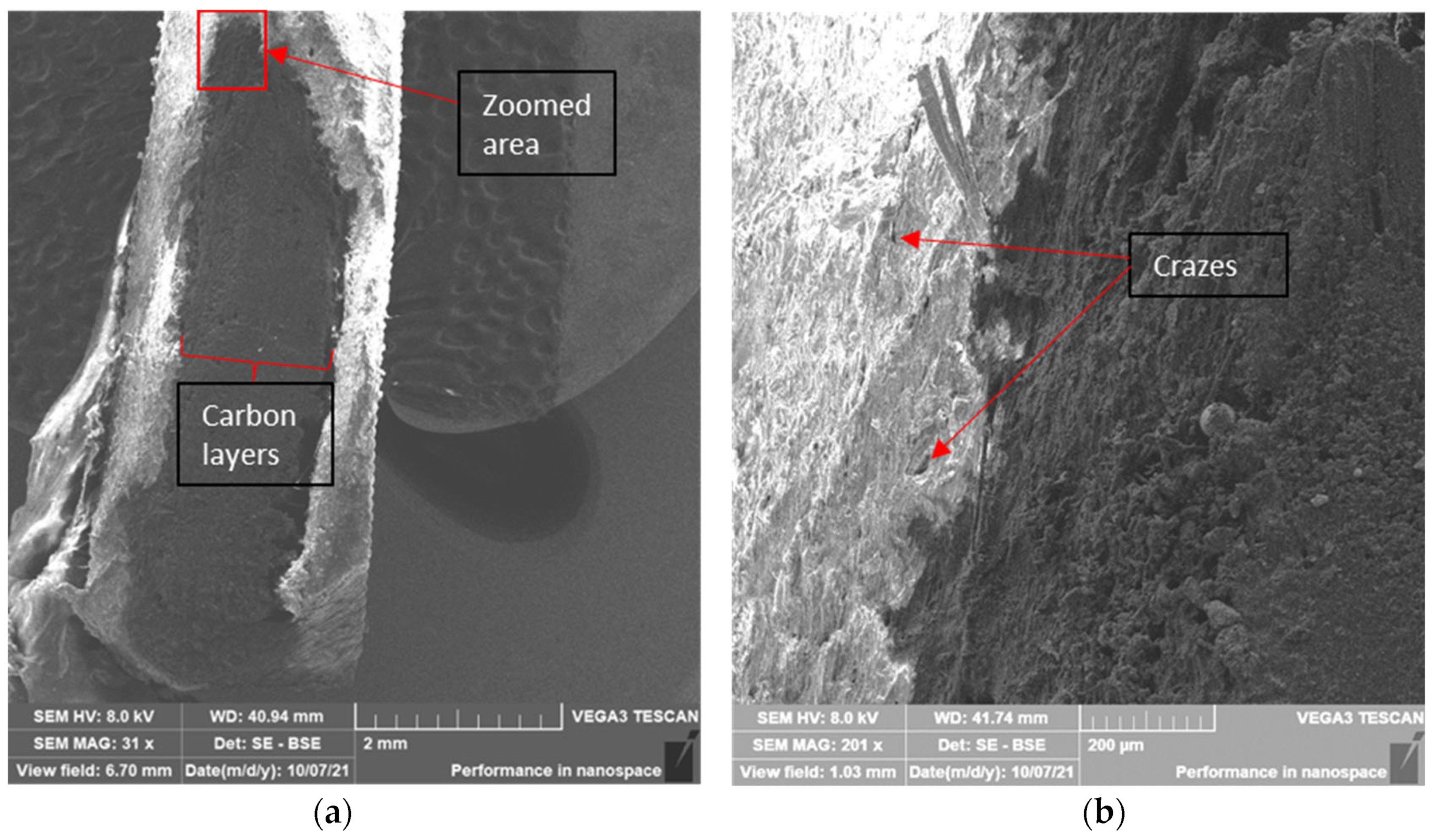 Polymers 14 03546 g012 550