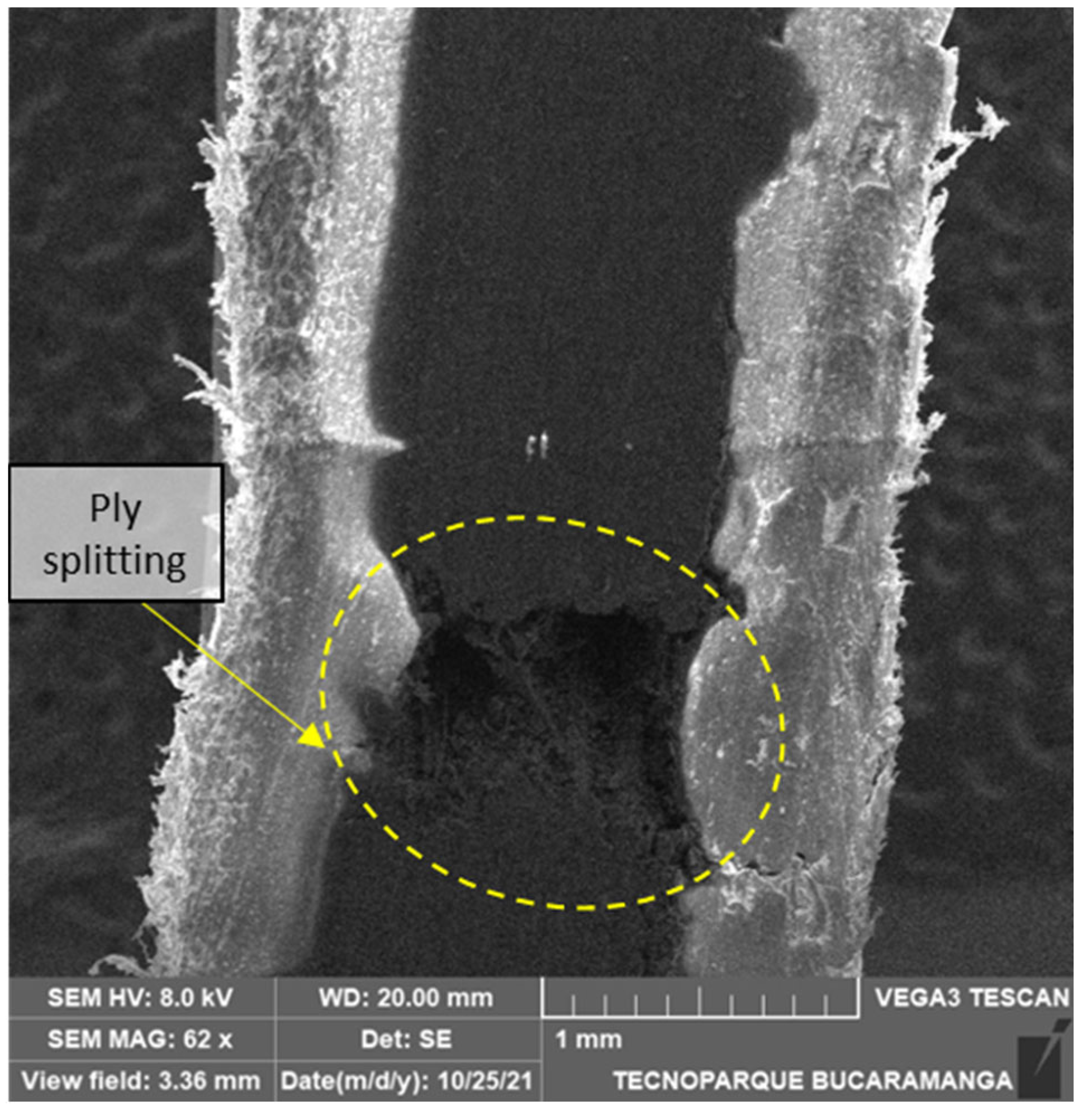 Polymers 14 03546 g014 550