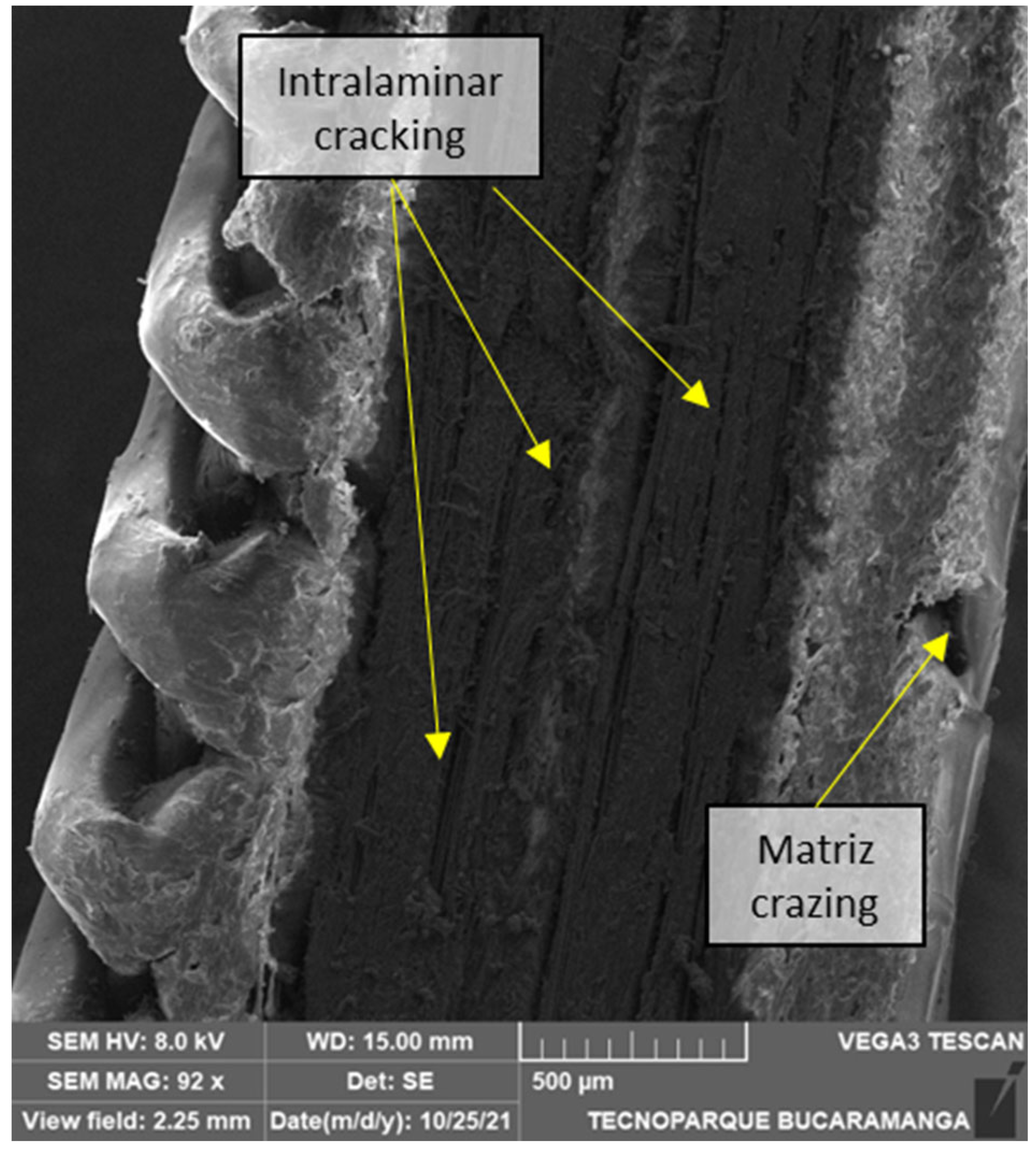 Polymers 14 03546 g015 550