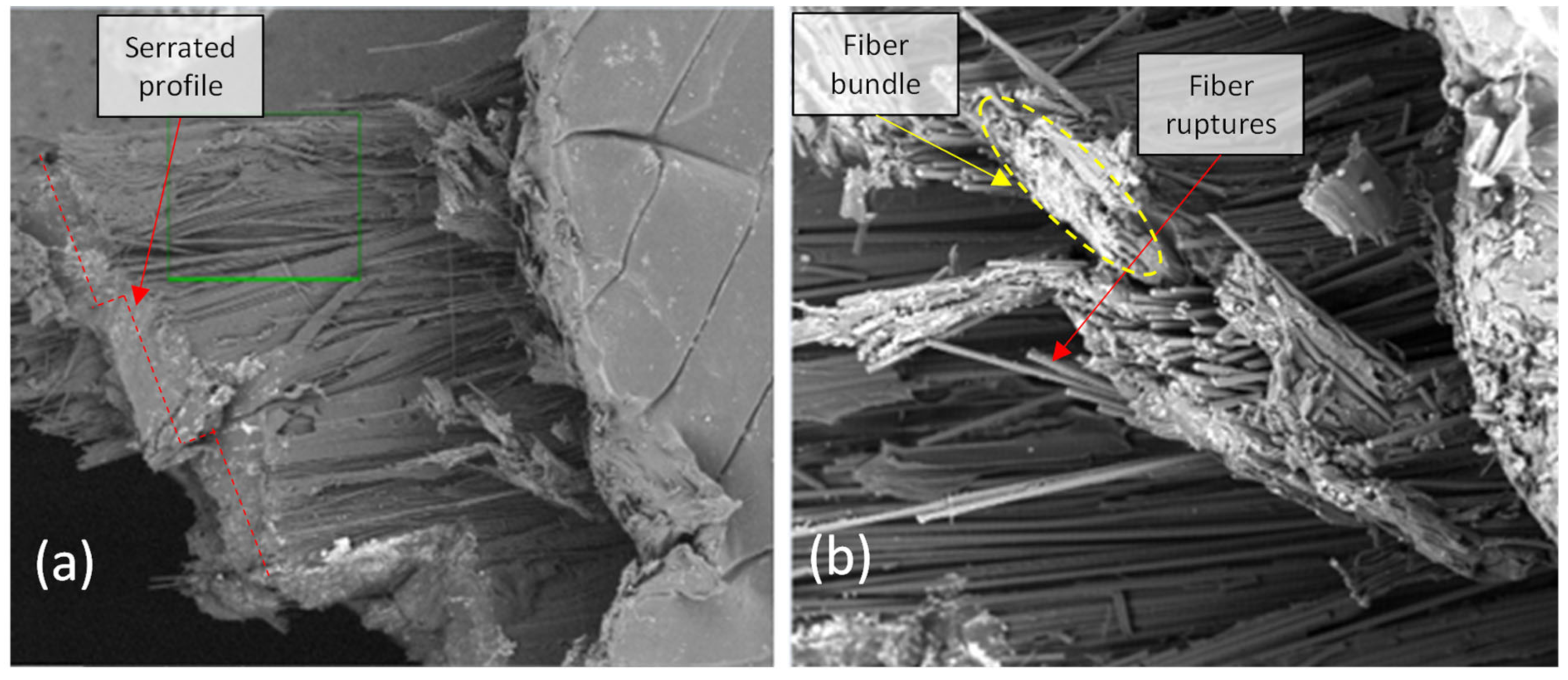 Polymers 14 03546 g016 550