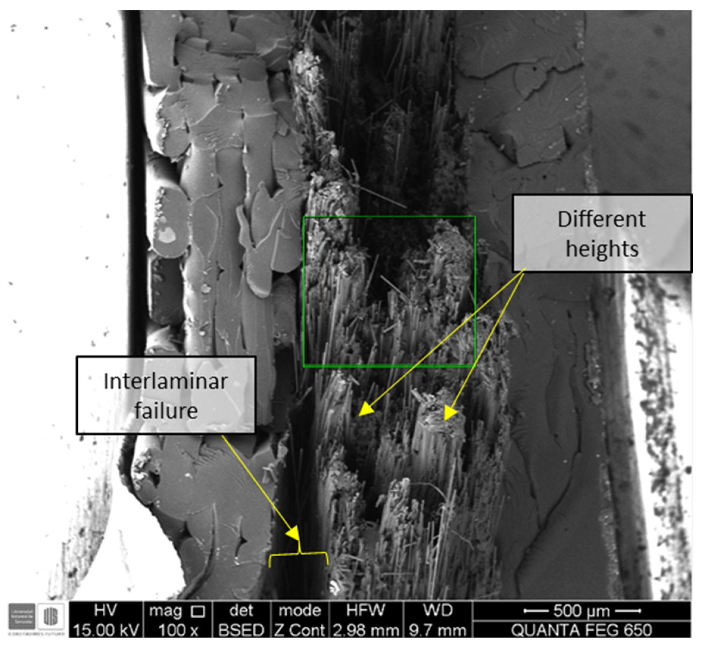 Polymers 14 03546 g018 550