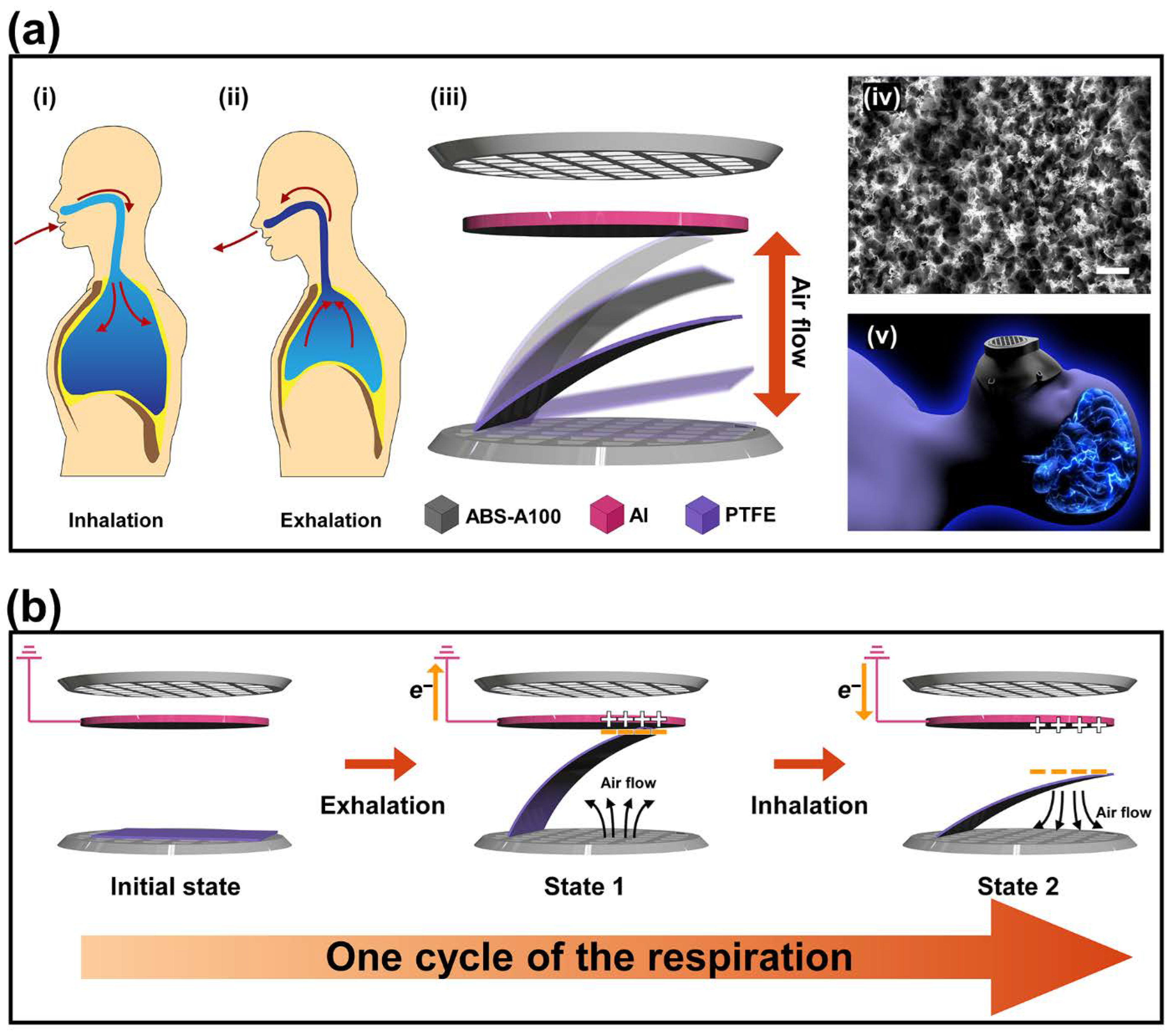 Polymers 14 03549 g001 550