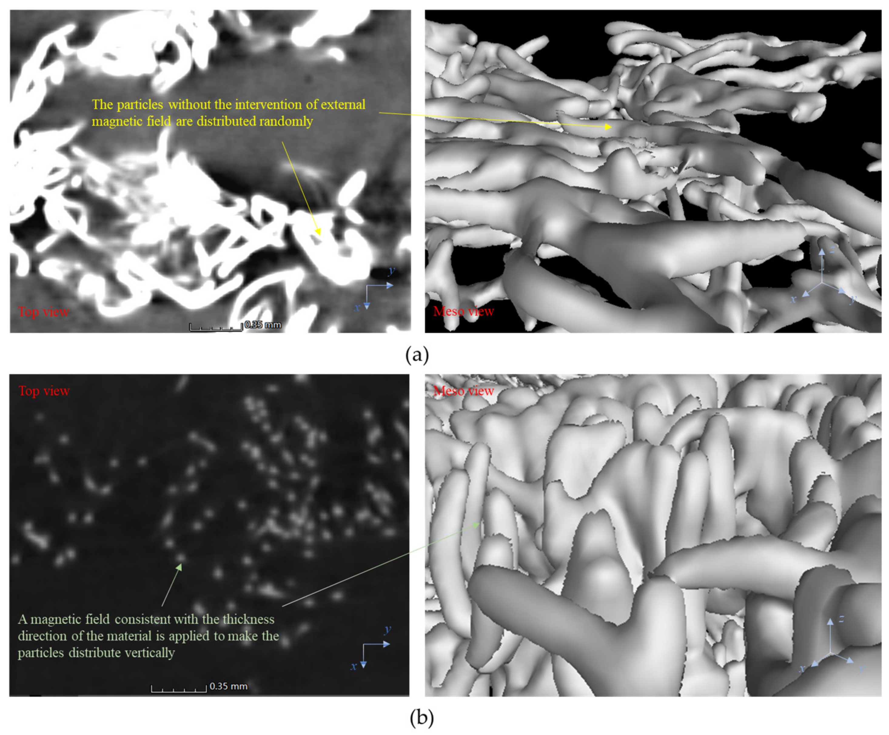 Polymers 14 03560 g002 550