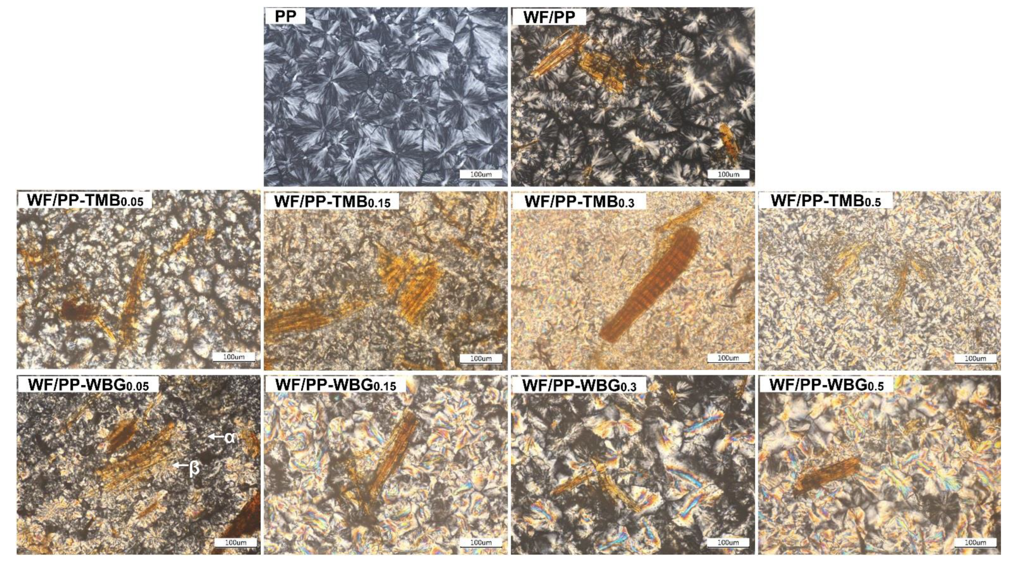 Polymers 14 03561 g004