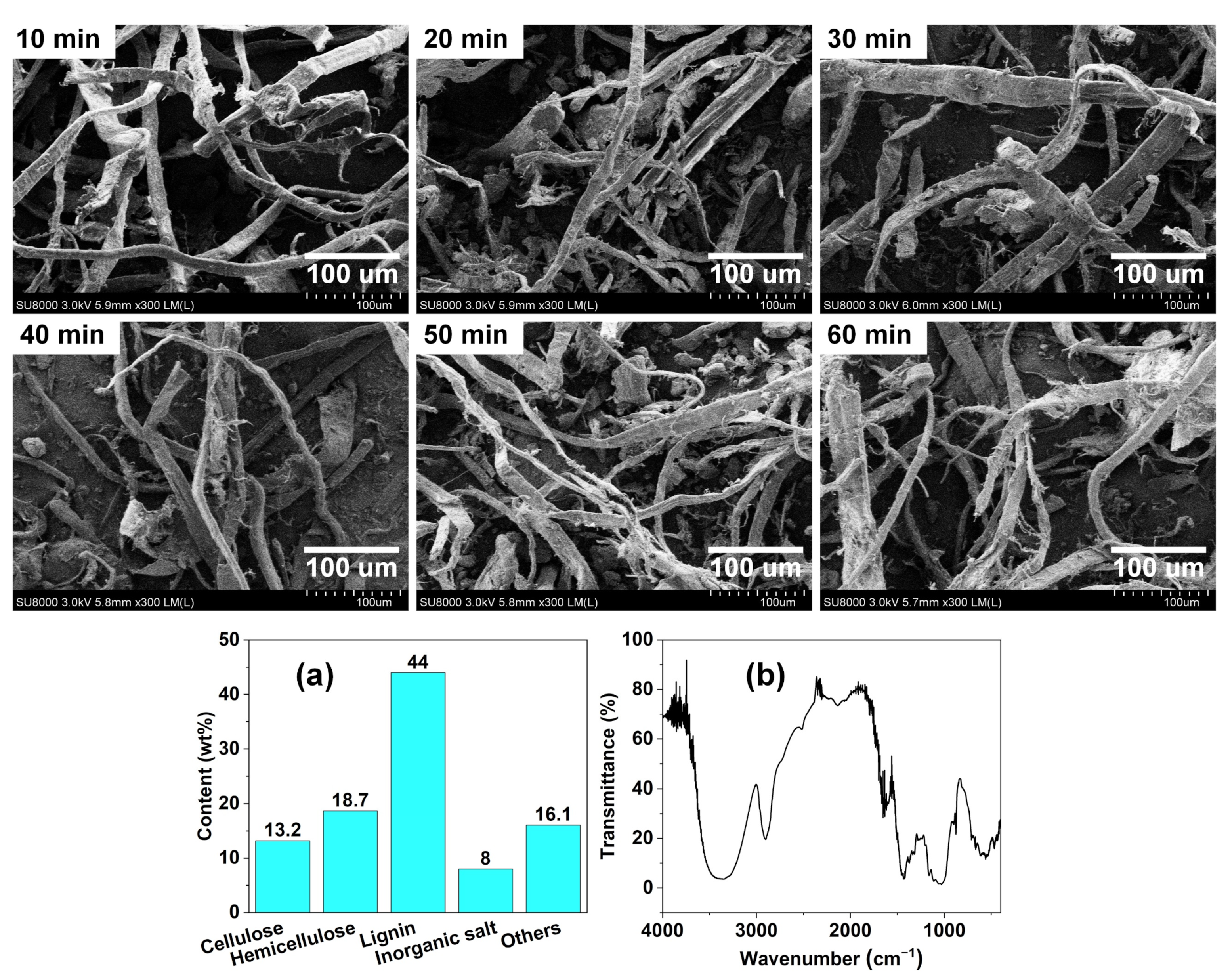 Polymers 14 03562 g002 550