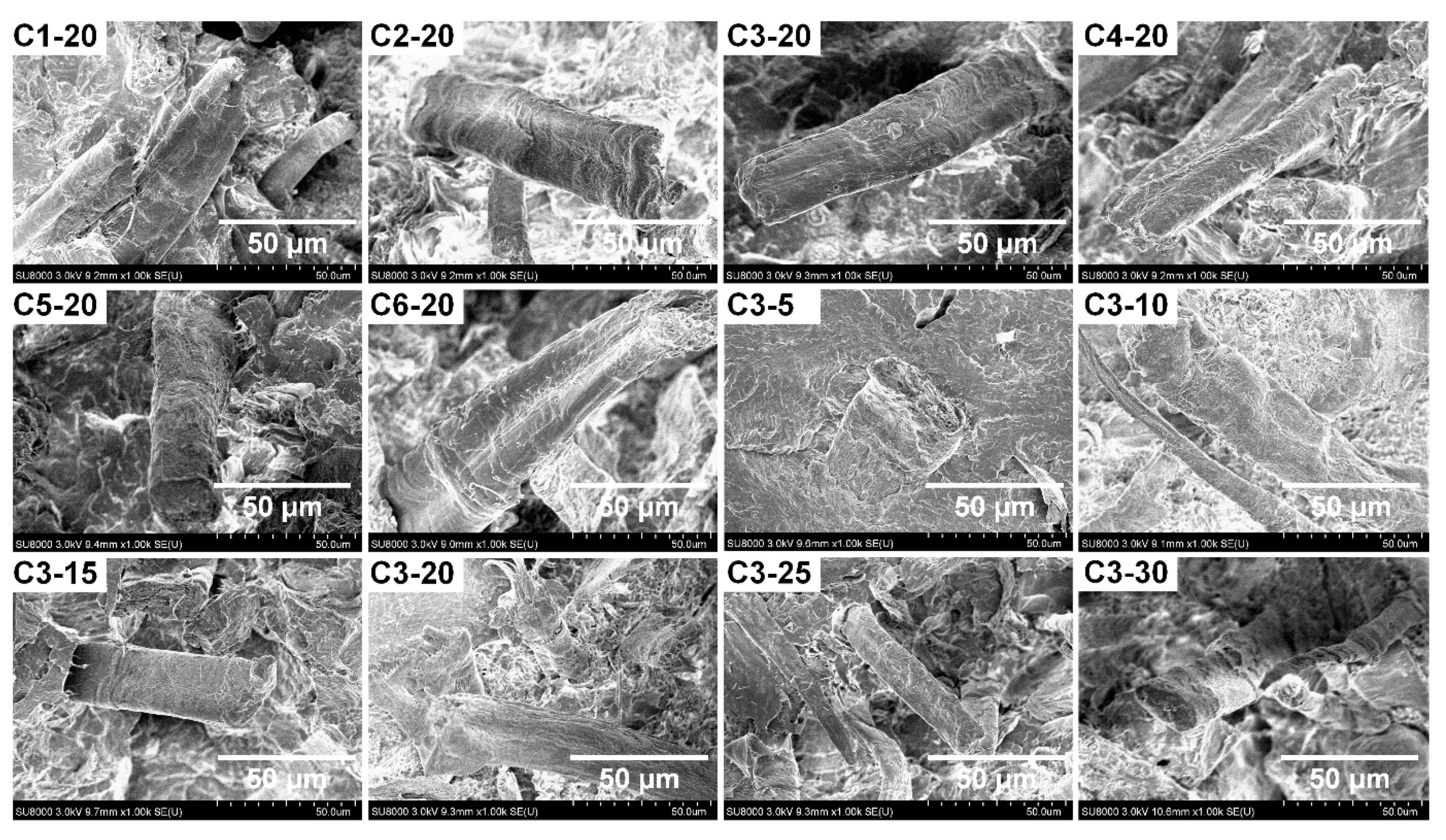 Polymers 14 03562 g004 550