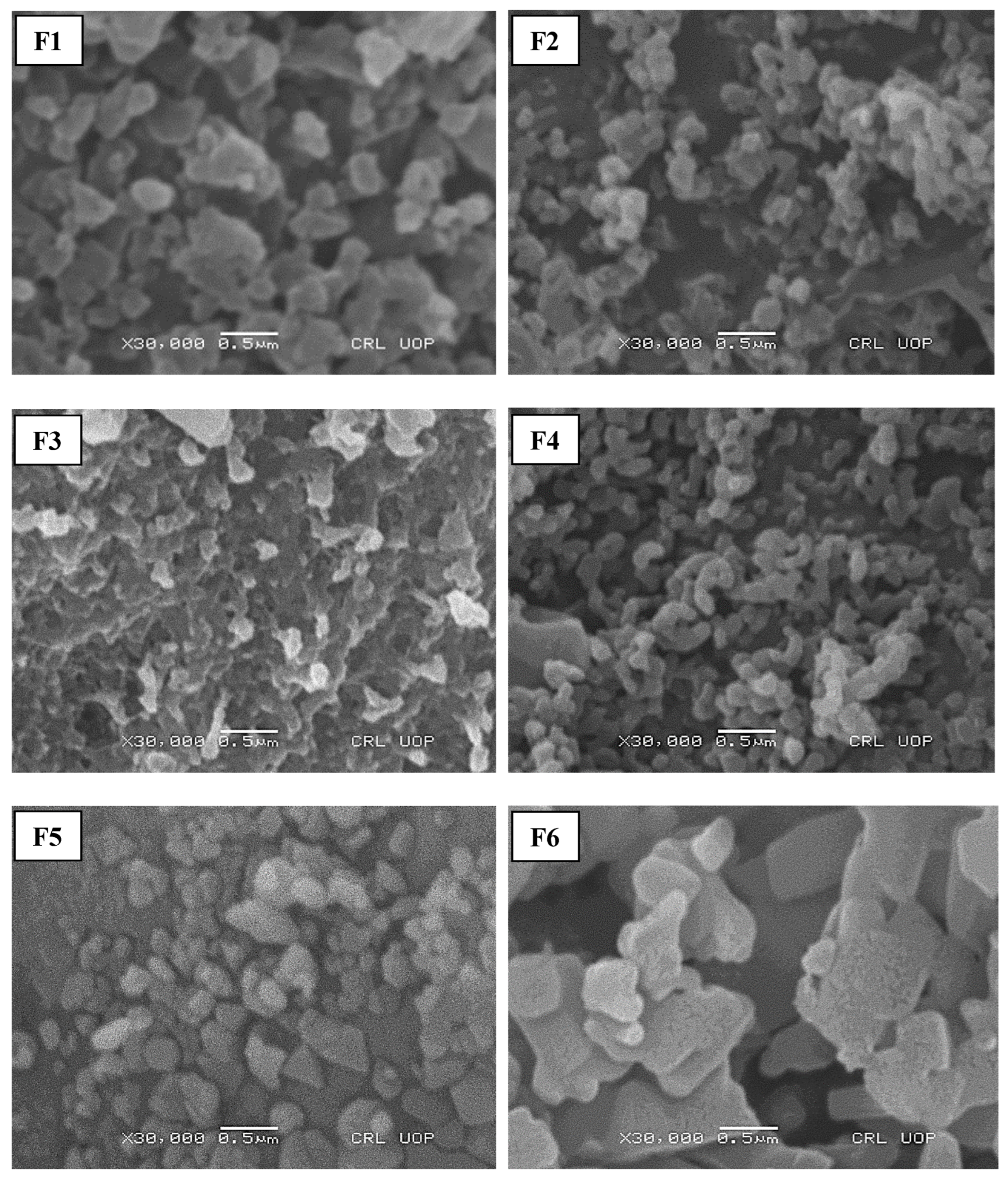 Polymers 14 03564 g001