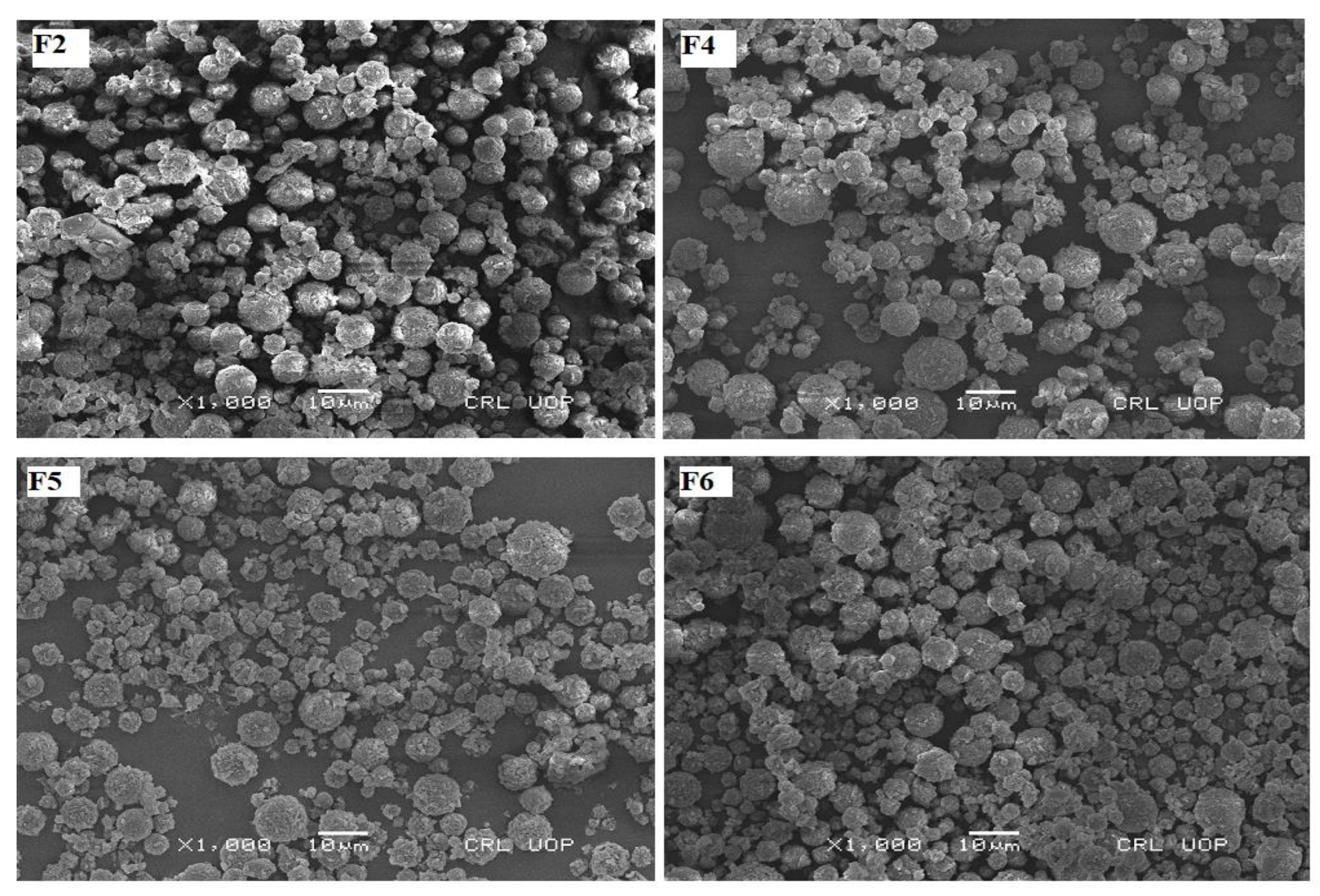 Polymers 14 03564 g002