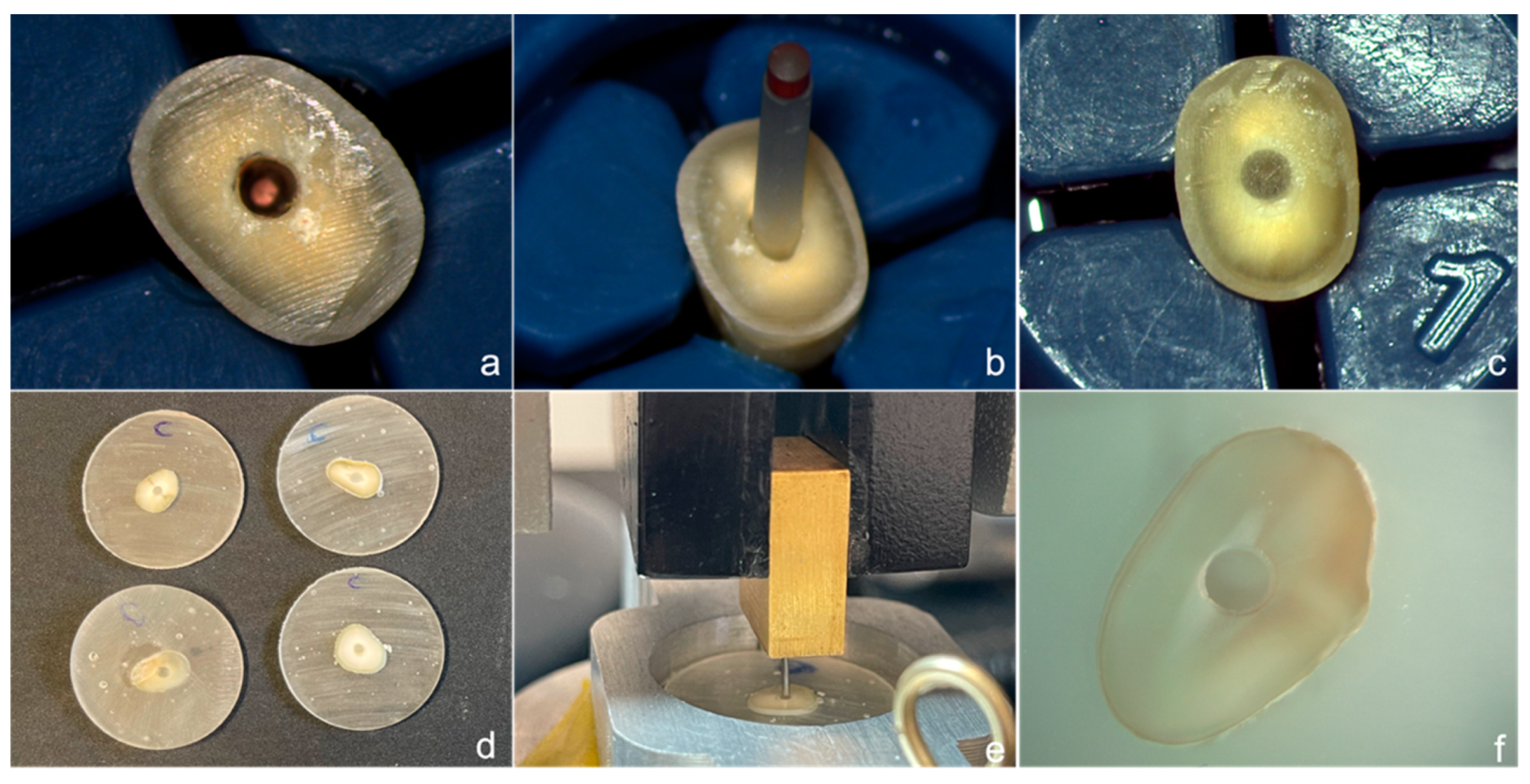 Polymers 14 03567 g001 550