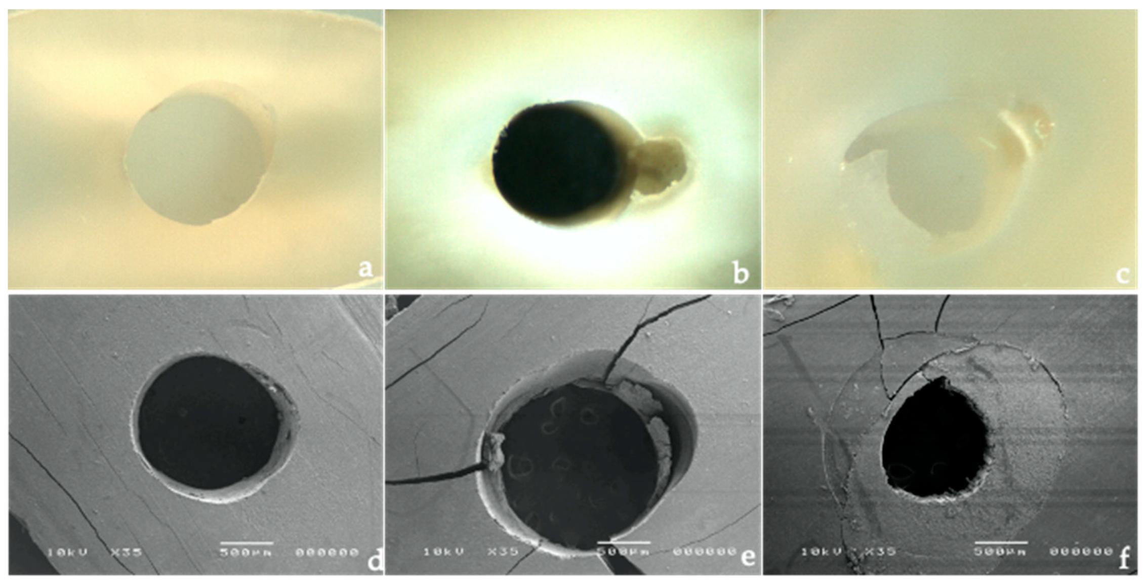 Polymers 14 03567 g002 550