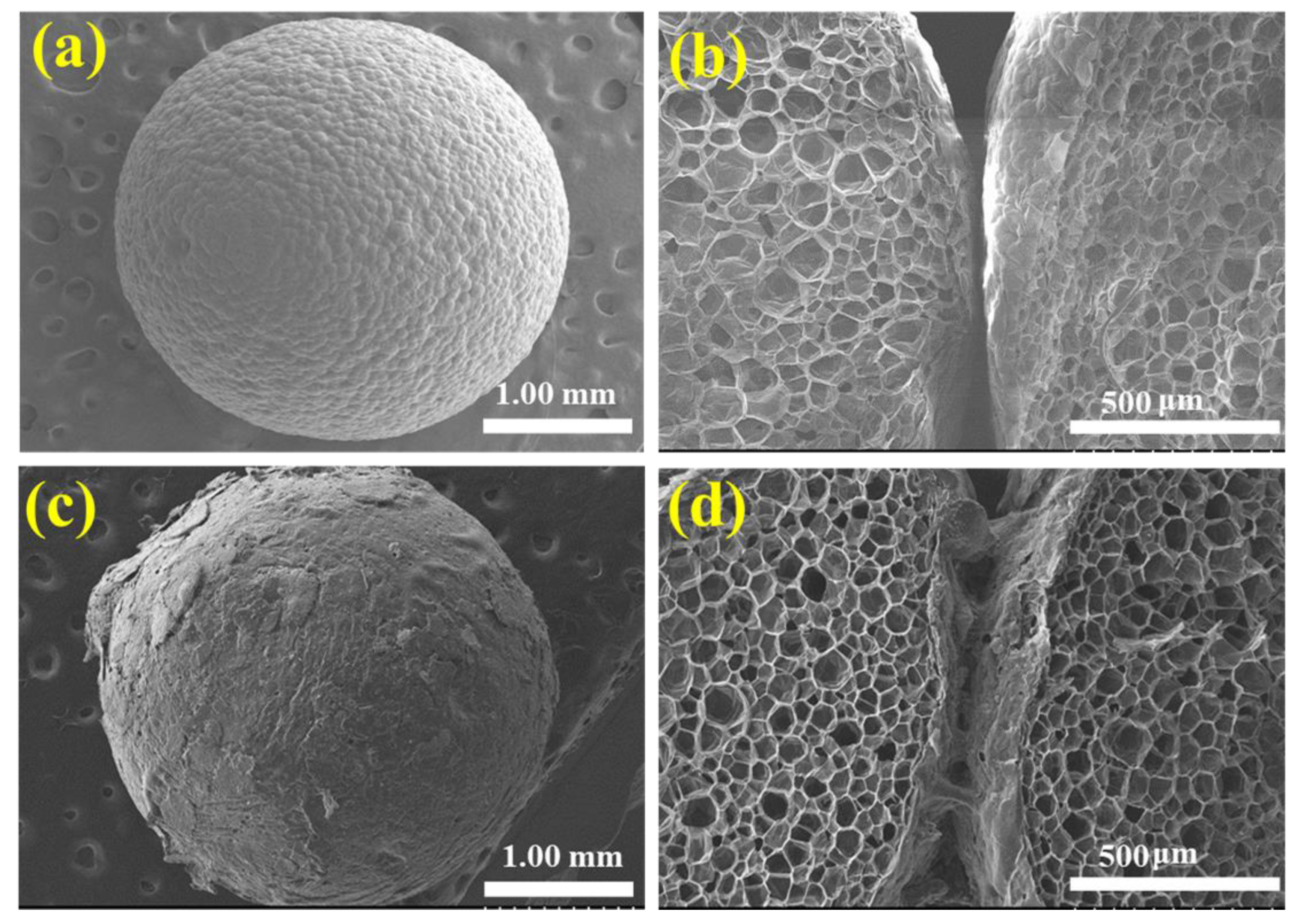 Polymers 14 03570 g002 Polymers 14 03570 g002