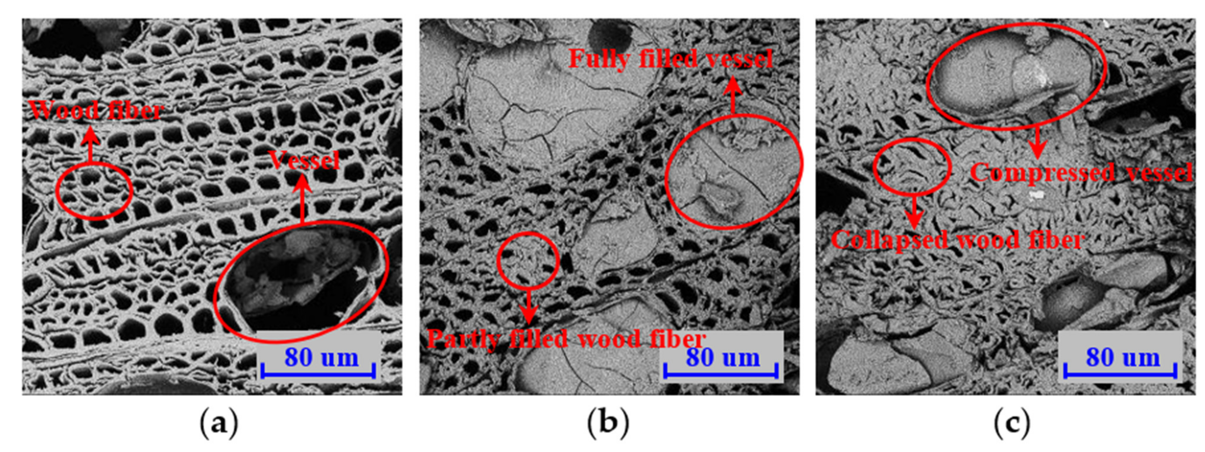 Polymers 14 03574 g015 Polymers 14 03574 g015