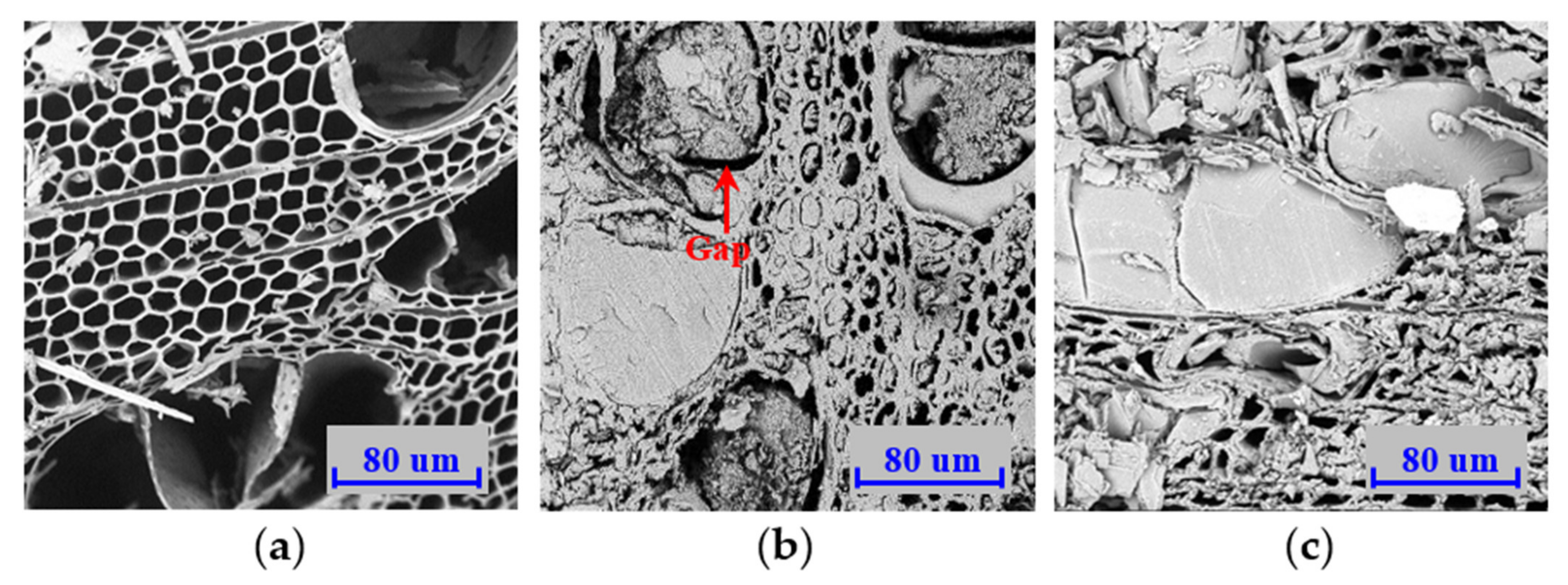 Polymers 14 03574 g016 Polymers 14 03574 g016