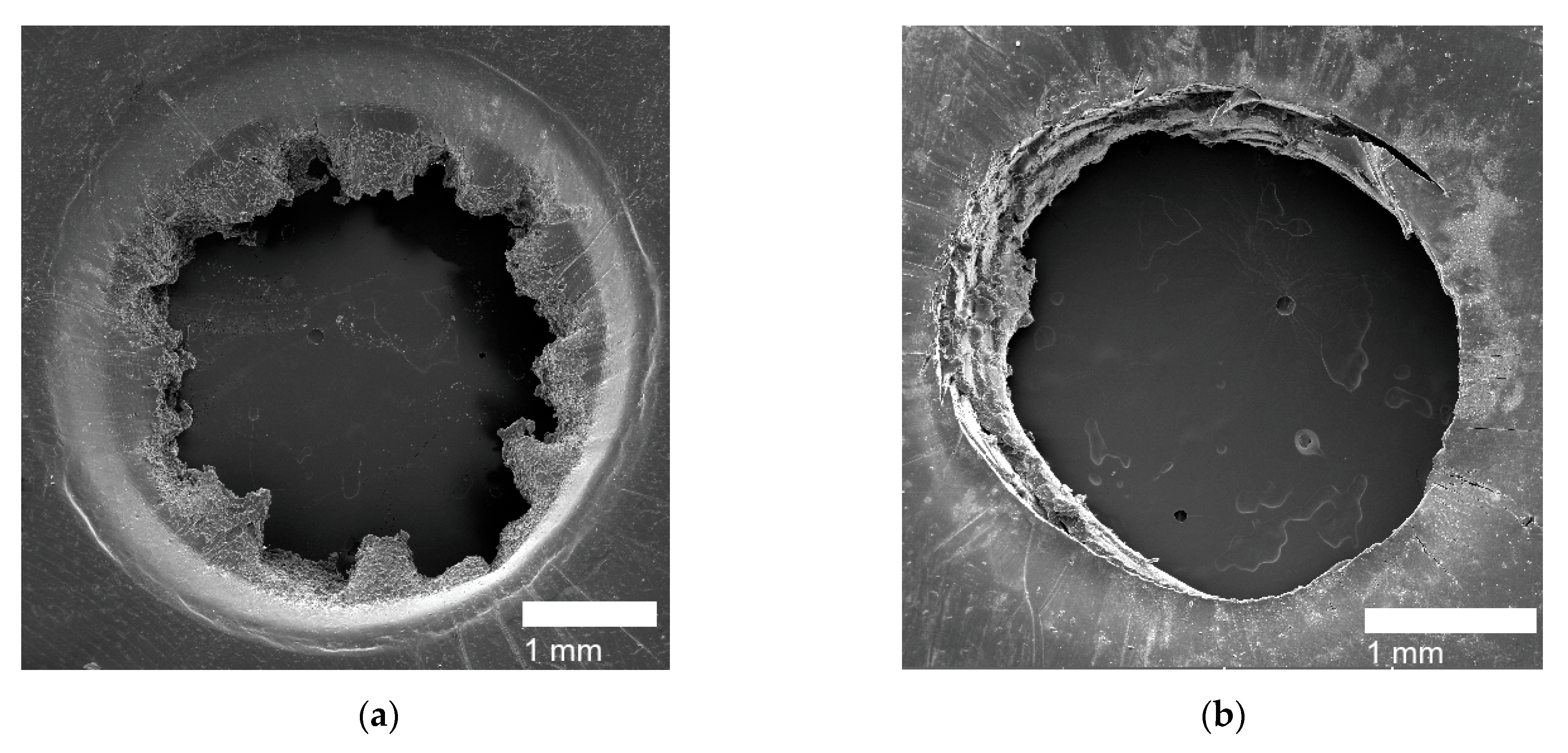 Polymers 14 03575 g011 550