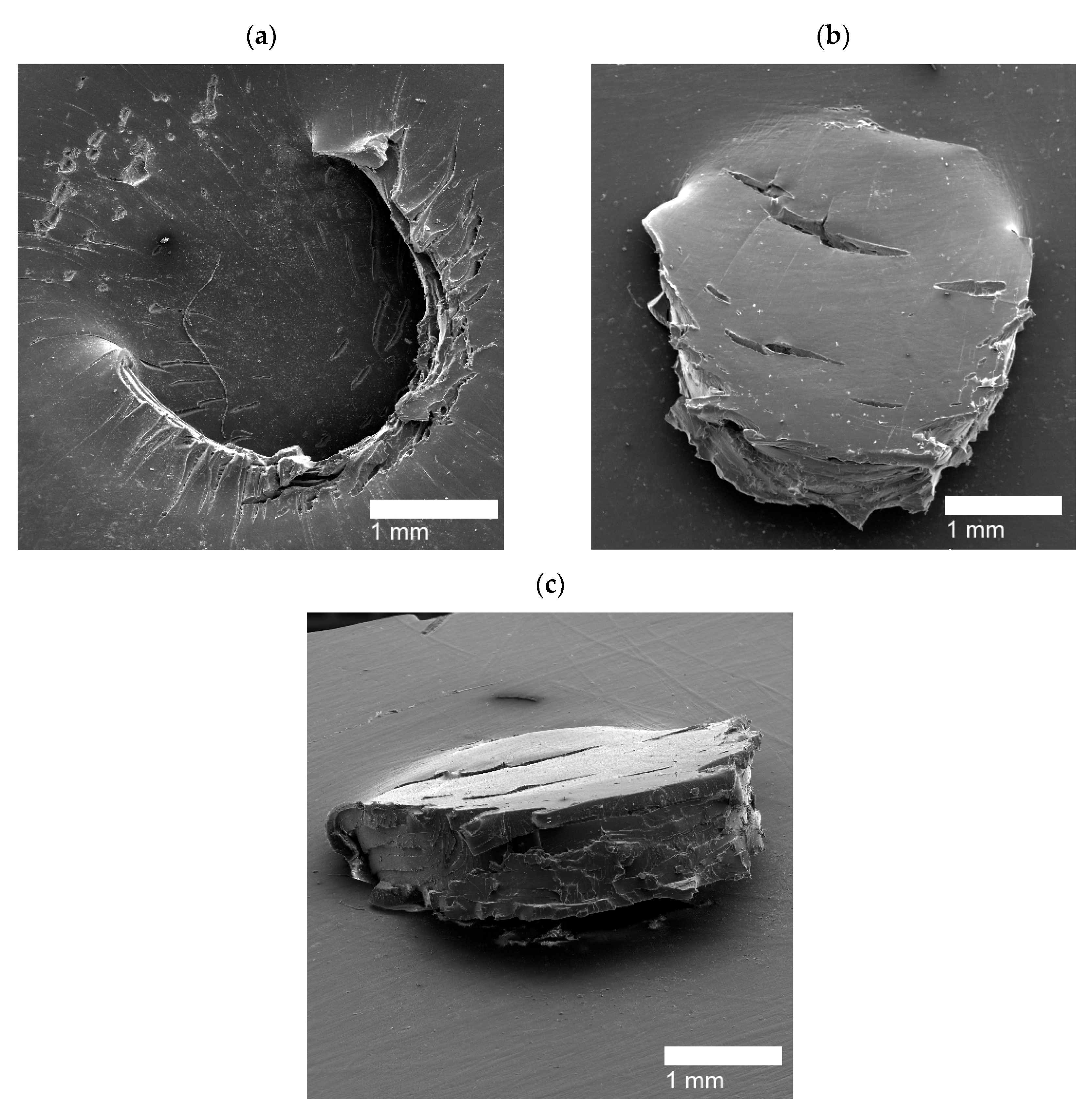Polymers 14 03575 g012 550