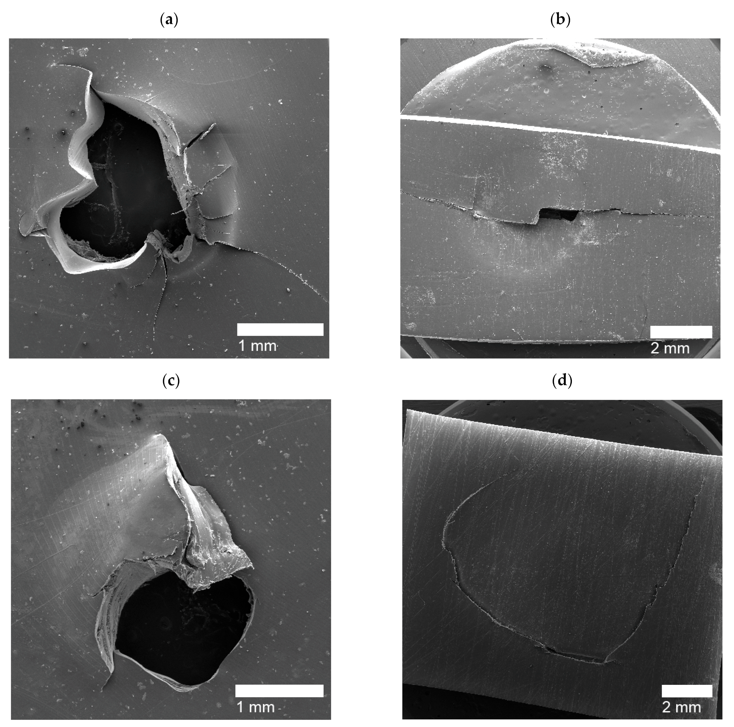 Polymers 14 03575 g013 550