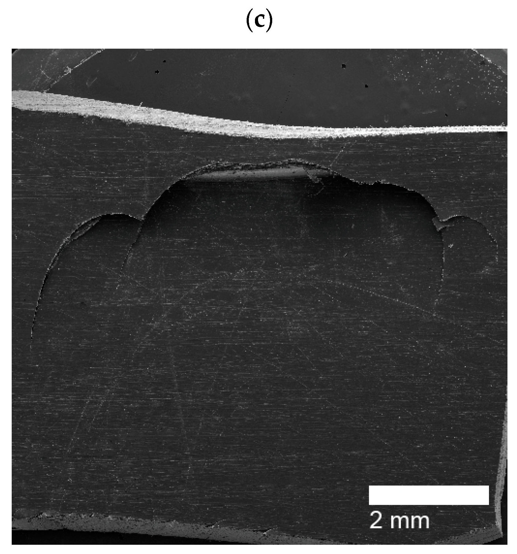Polymers 14 03575 g014b 550