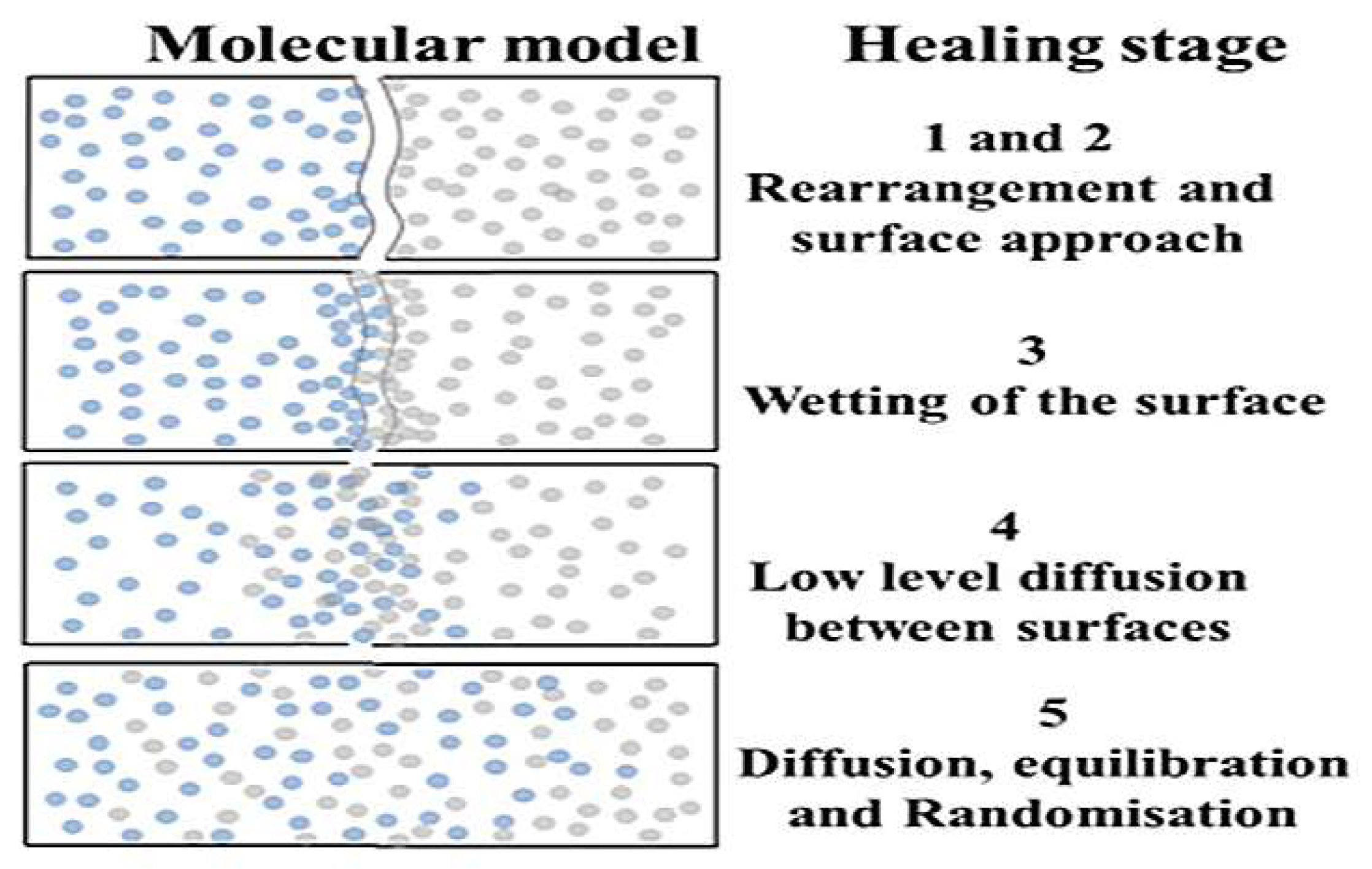 Polymers 14 03581 g001 550