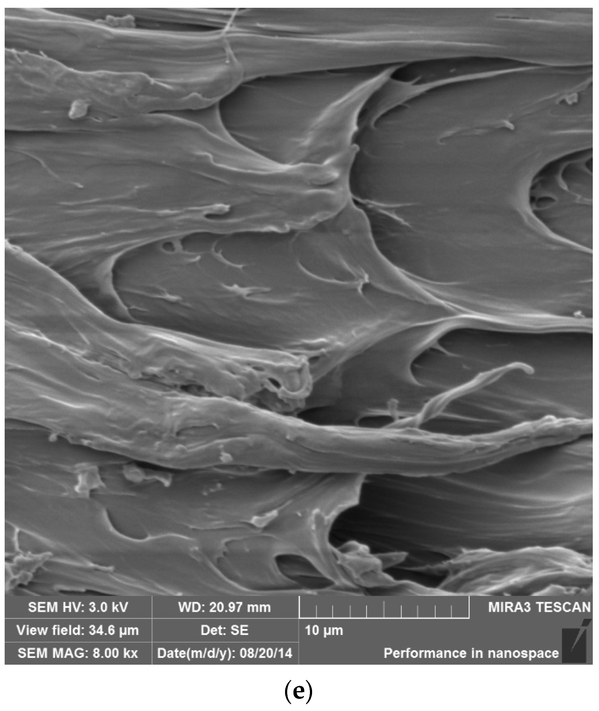 Polymers 14 03588 g004b 550