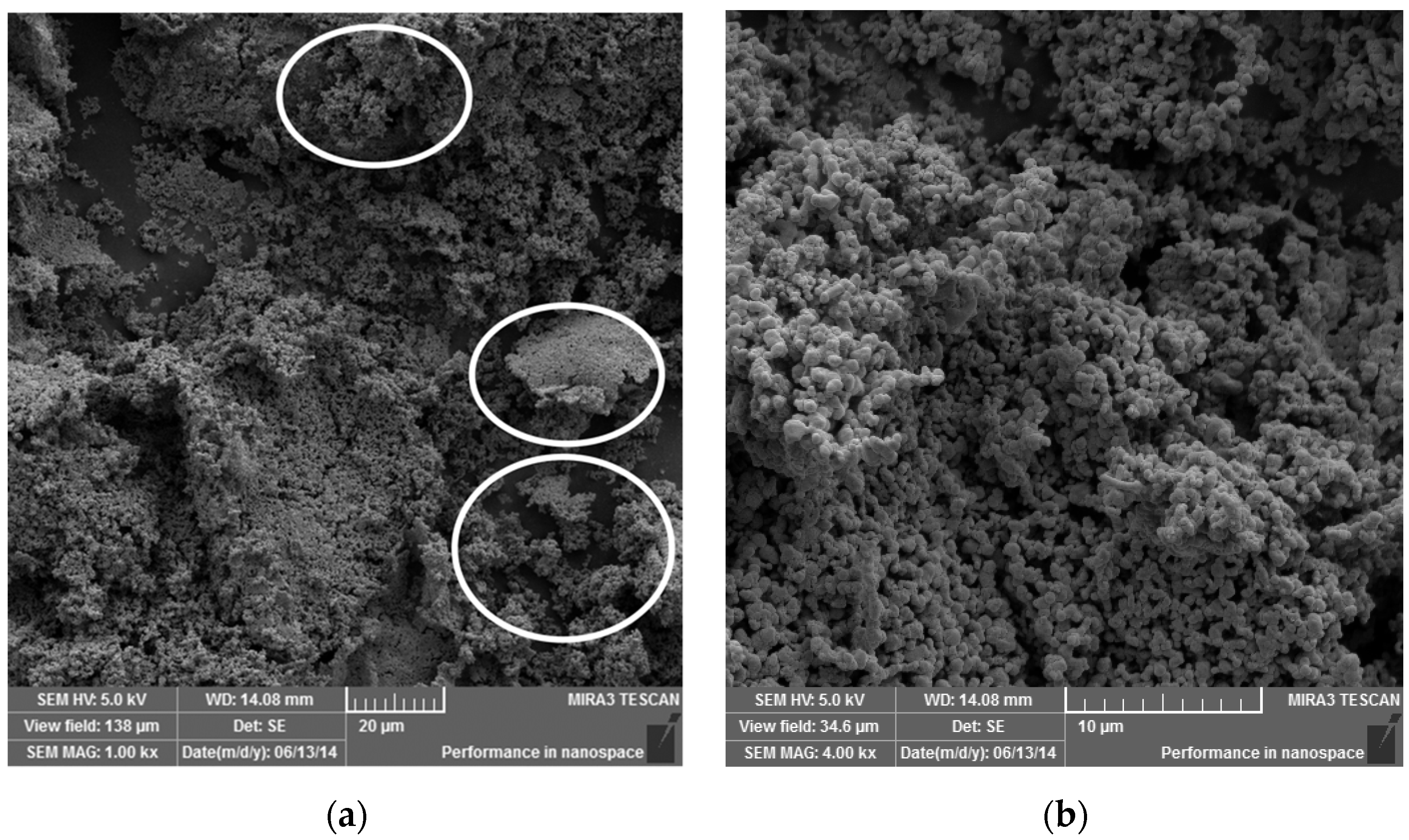 Polymers 14 03588 g006 550