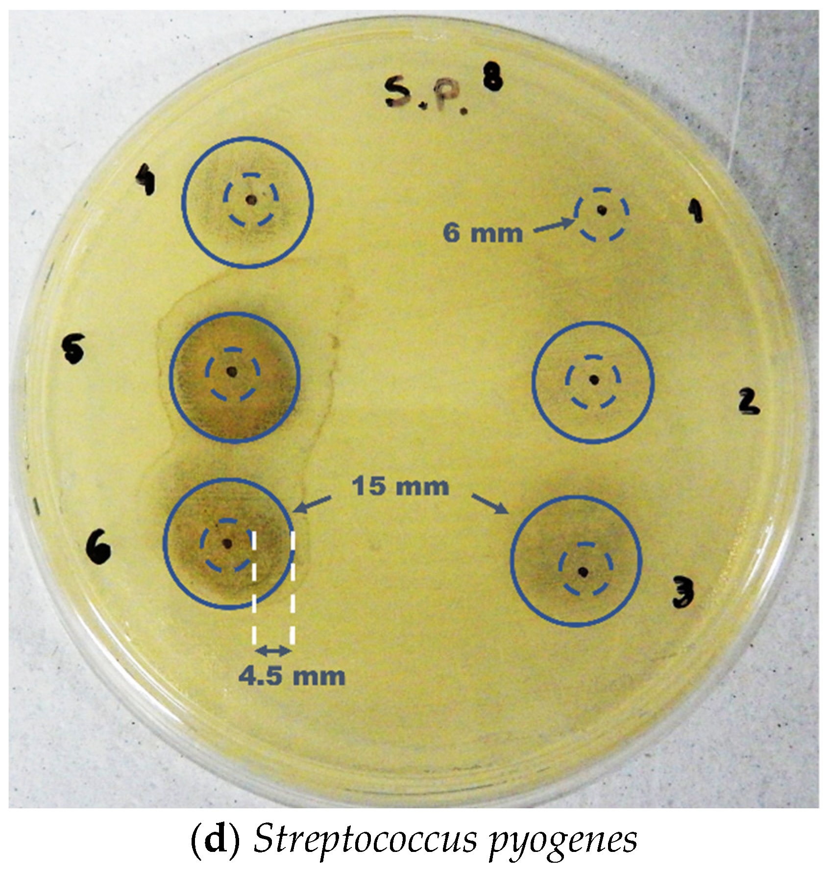 Polymers 14 03588 g012b 550