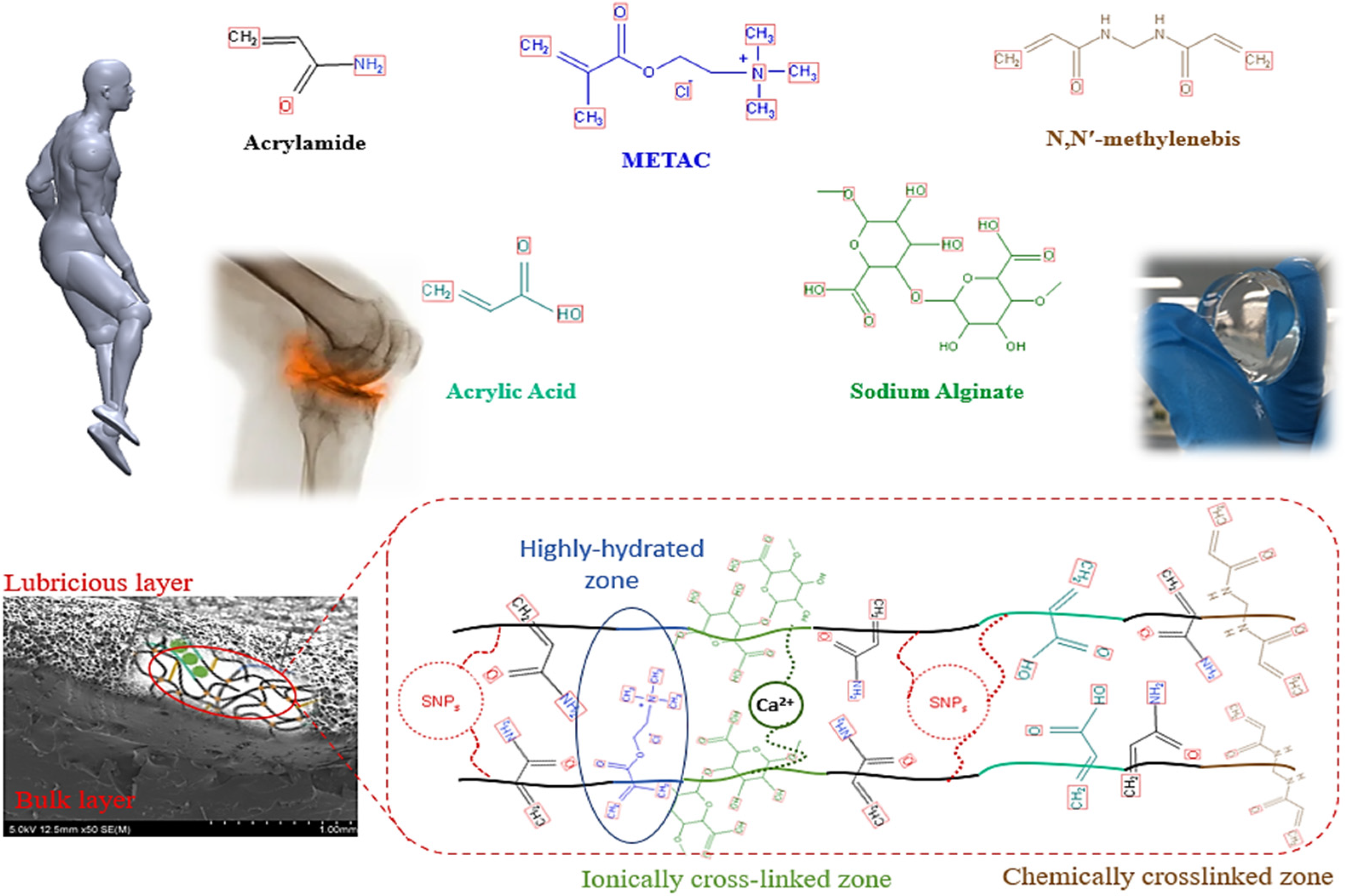 Polymers 14 03593 g001 Polymers 14 03593 g001