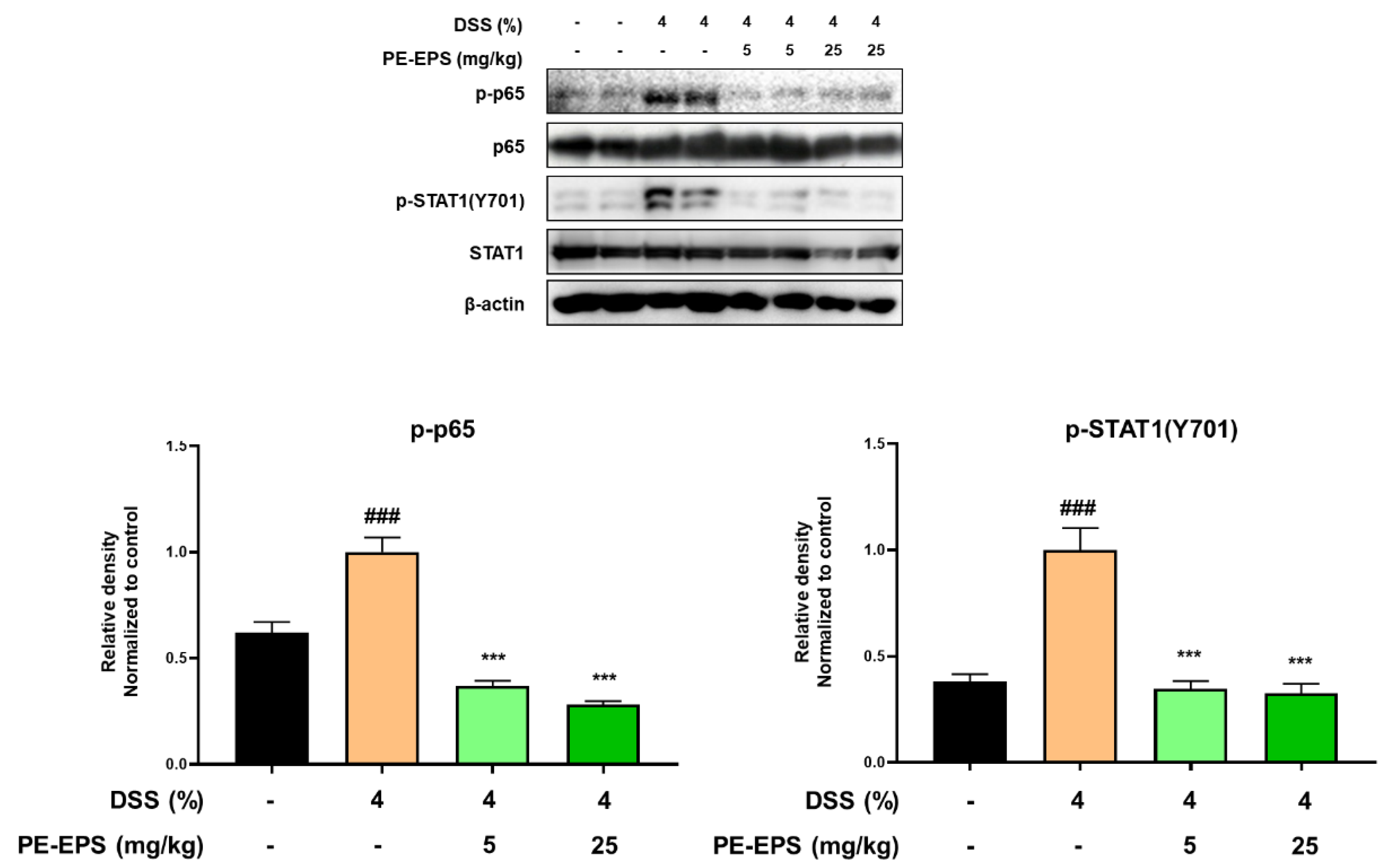 Polymers 14 03594 g006