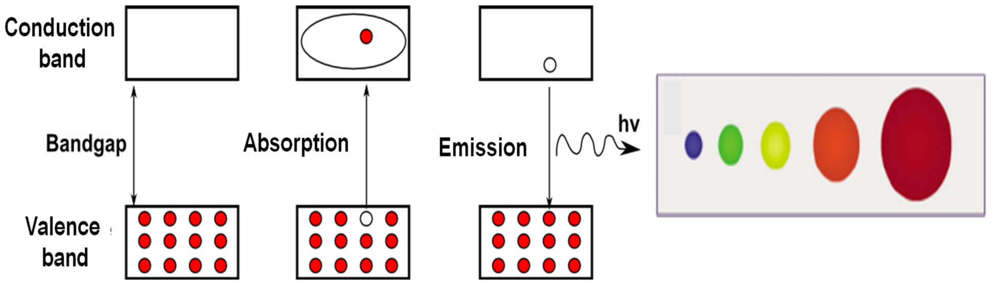 Polymers 14 03598 g002