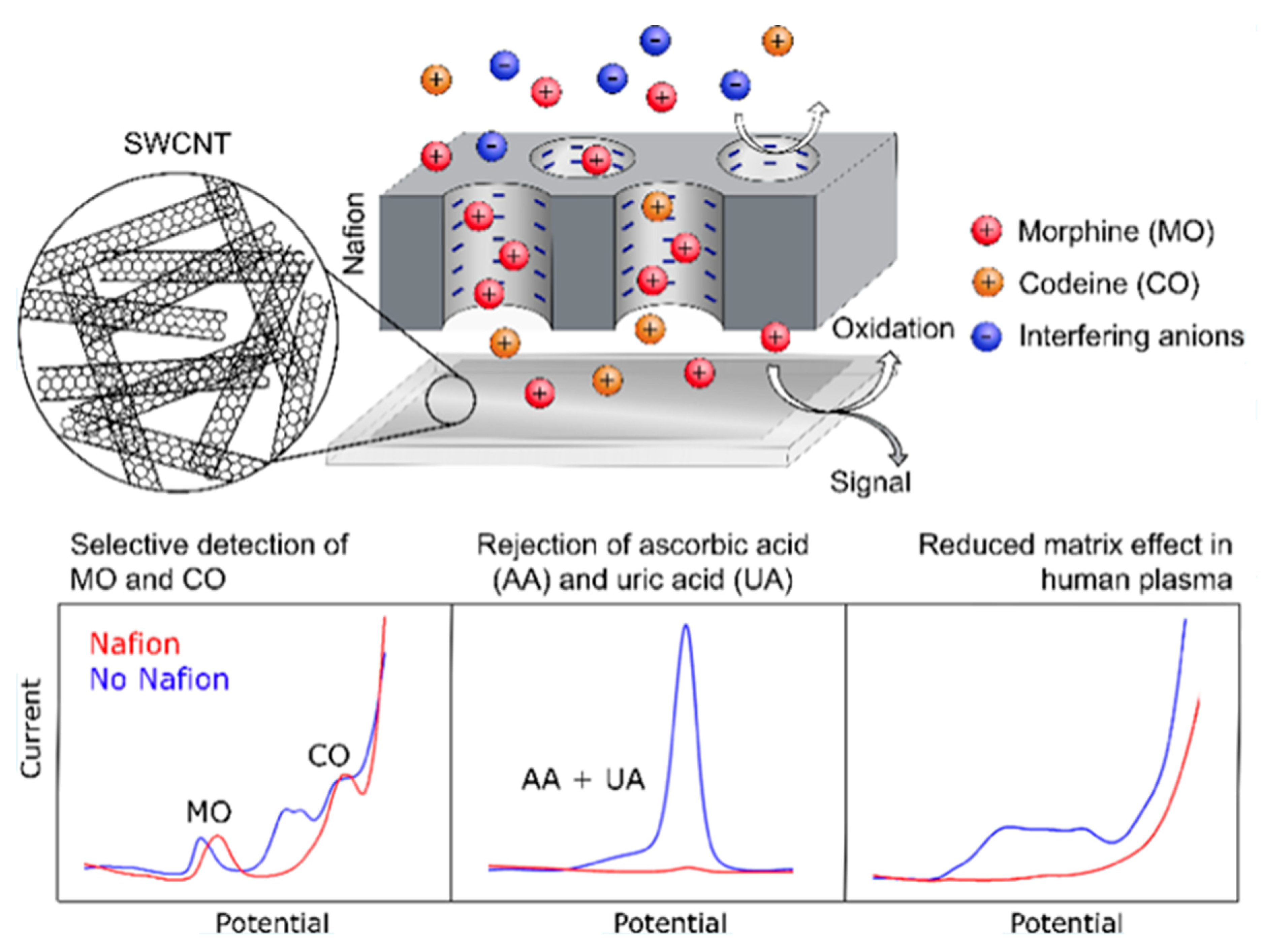 Polymers 14 03598 g005