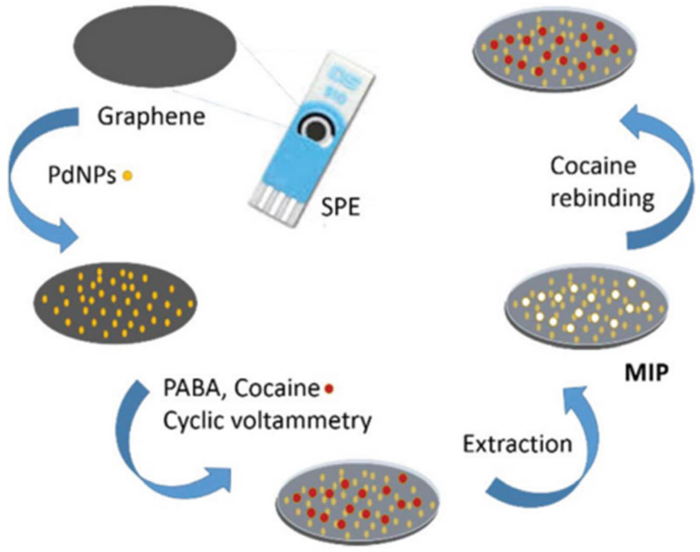 Polymers 14 03598 g008