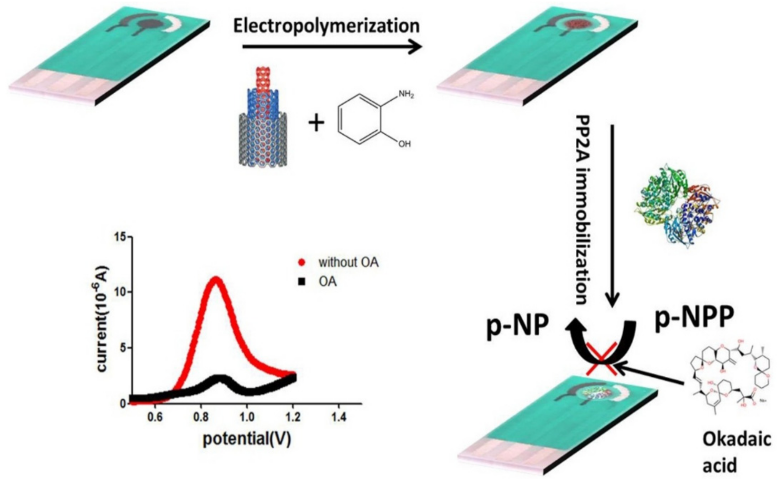 Polymers 14 03598 g010