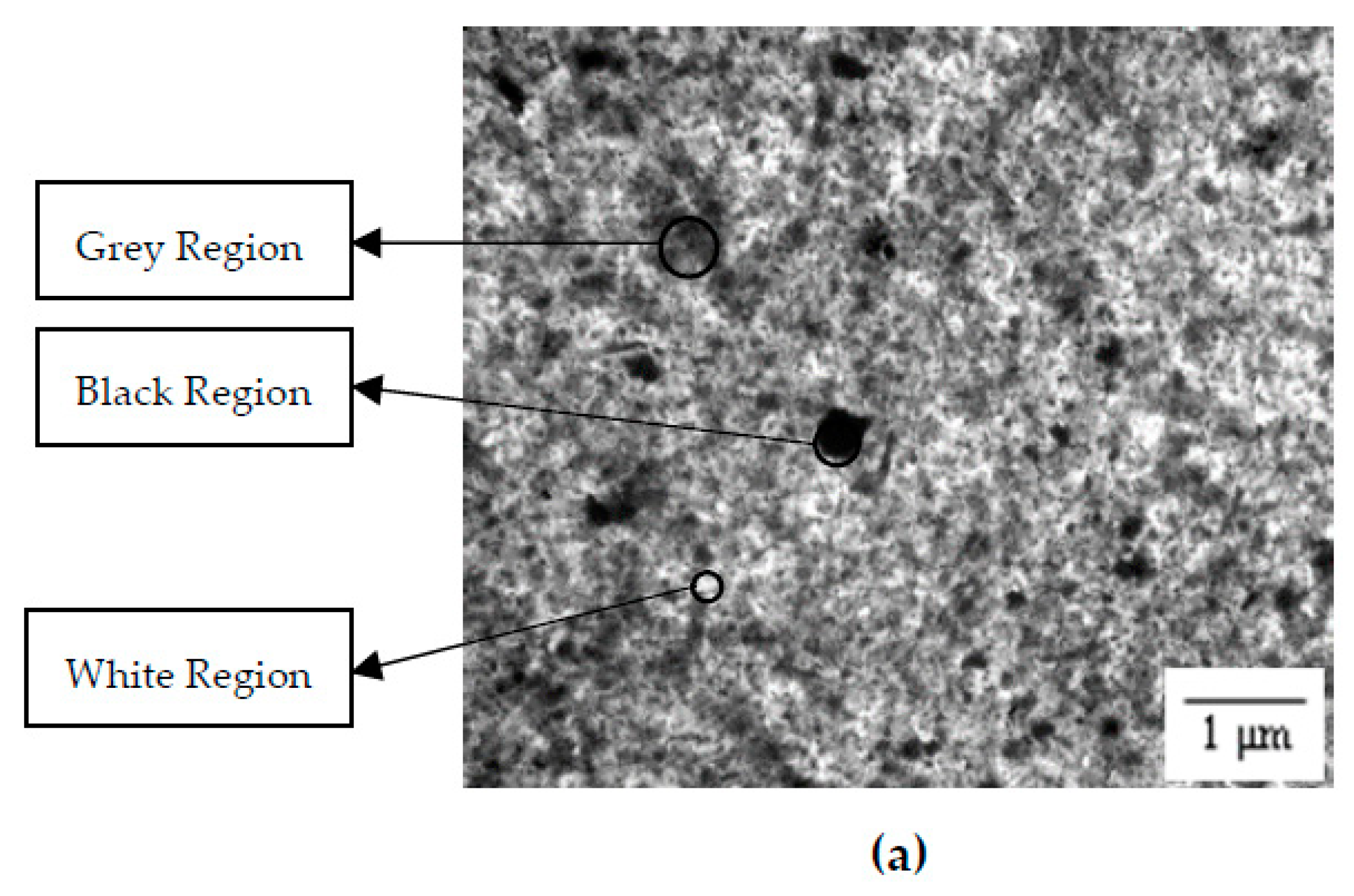 Polymers 14 03603 g002a