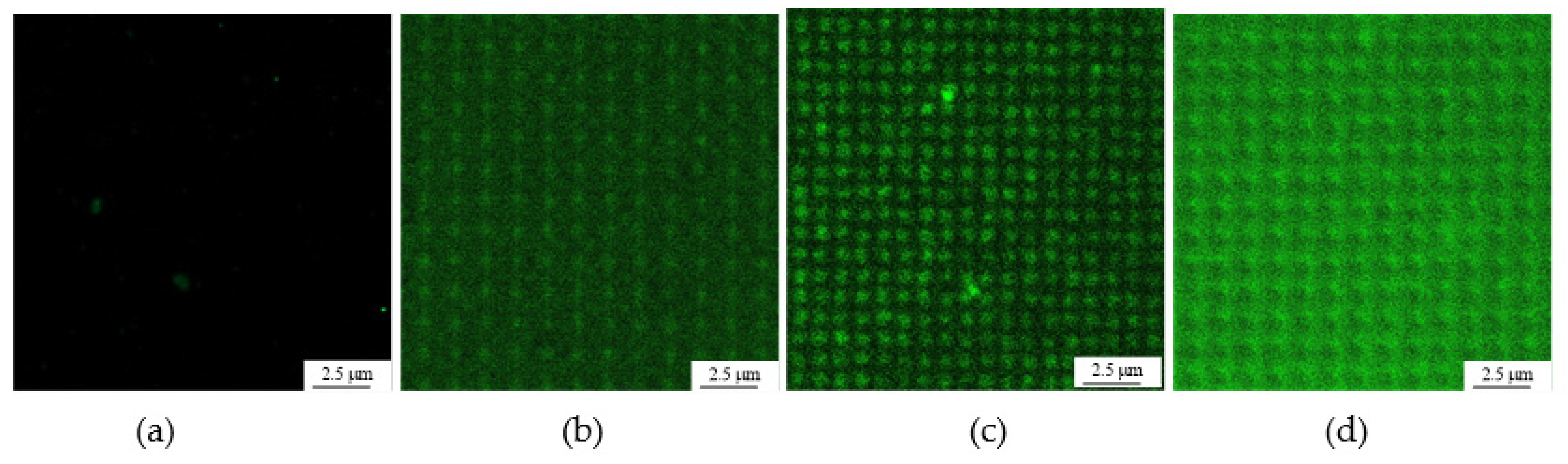 Polymers 14 03611 g004