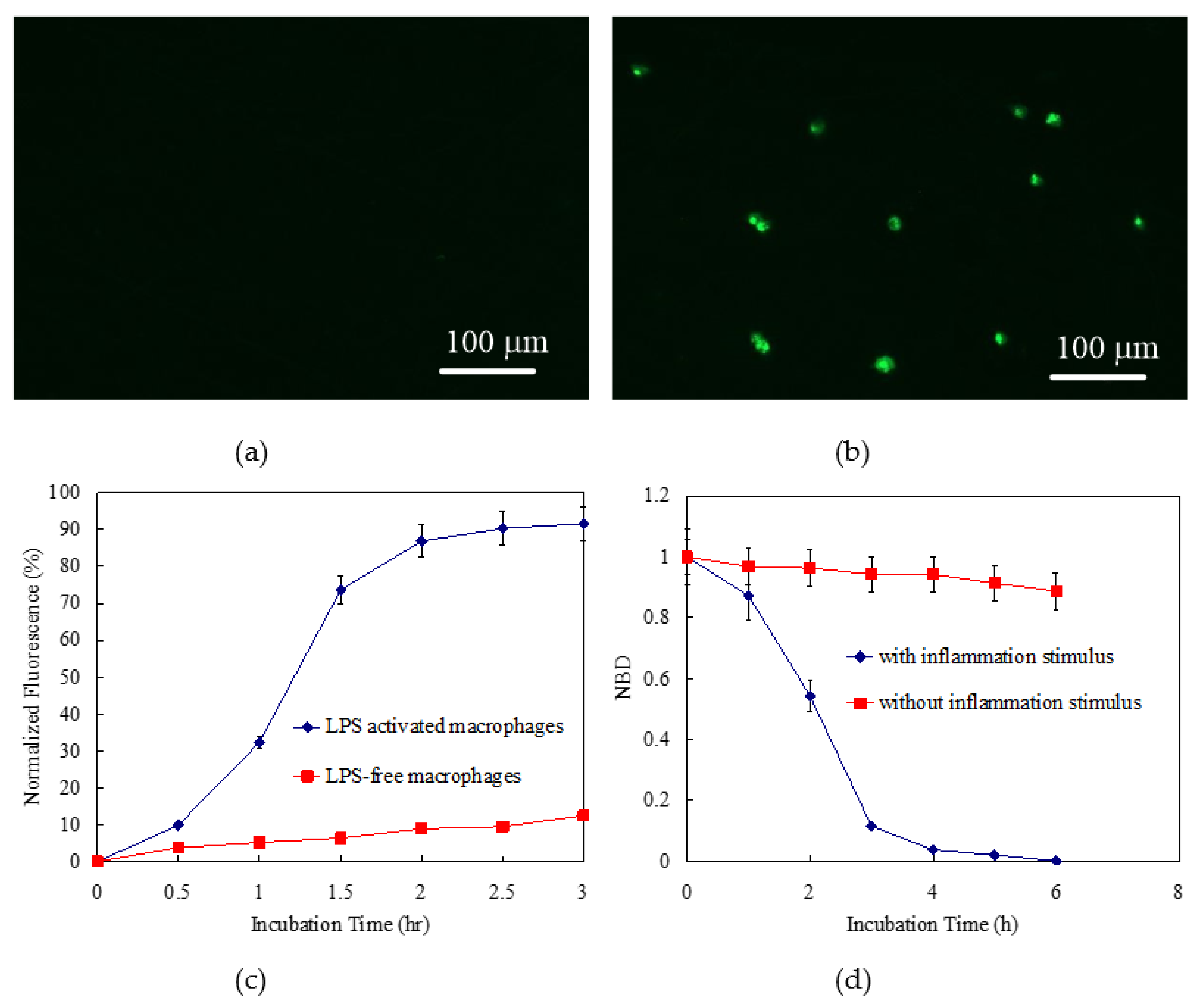 Polymers 14 03611 g007