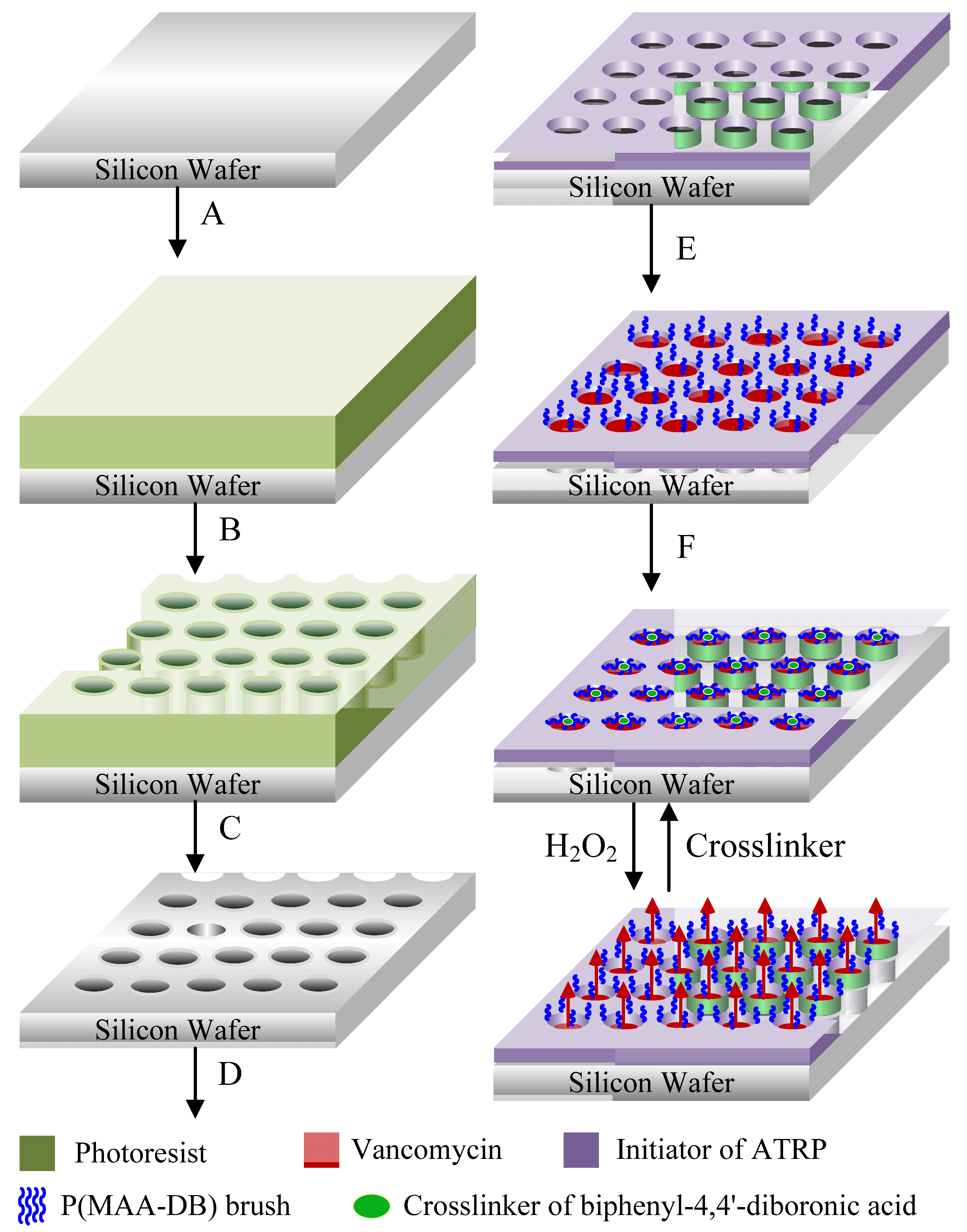 Polymers 14 03611 sch002
