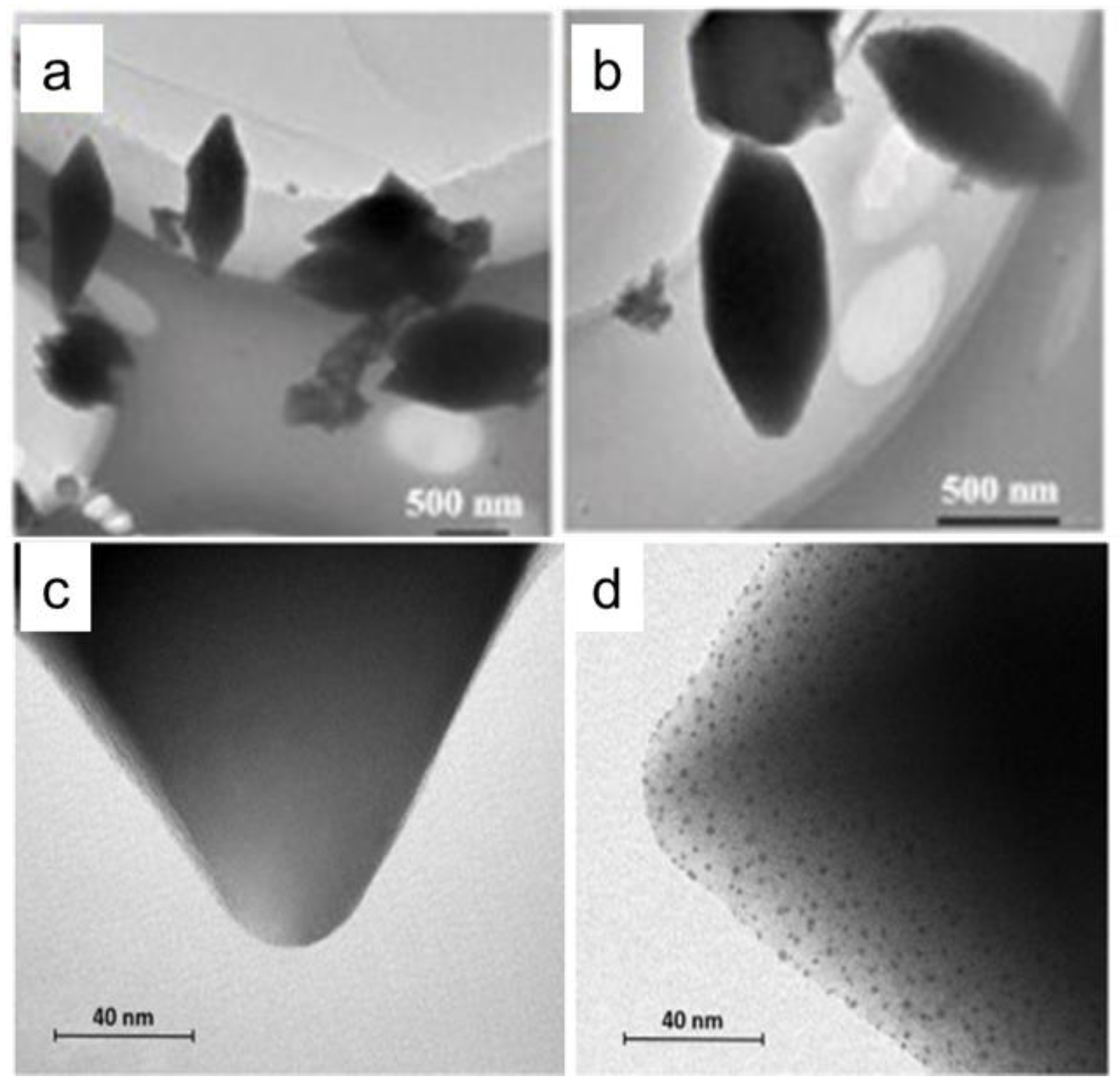 Polymers 14 03613 g014 Polymers 14 03613 g014
