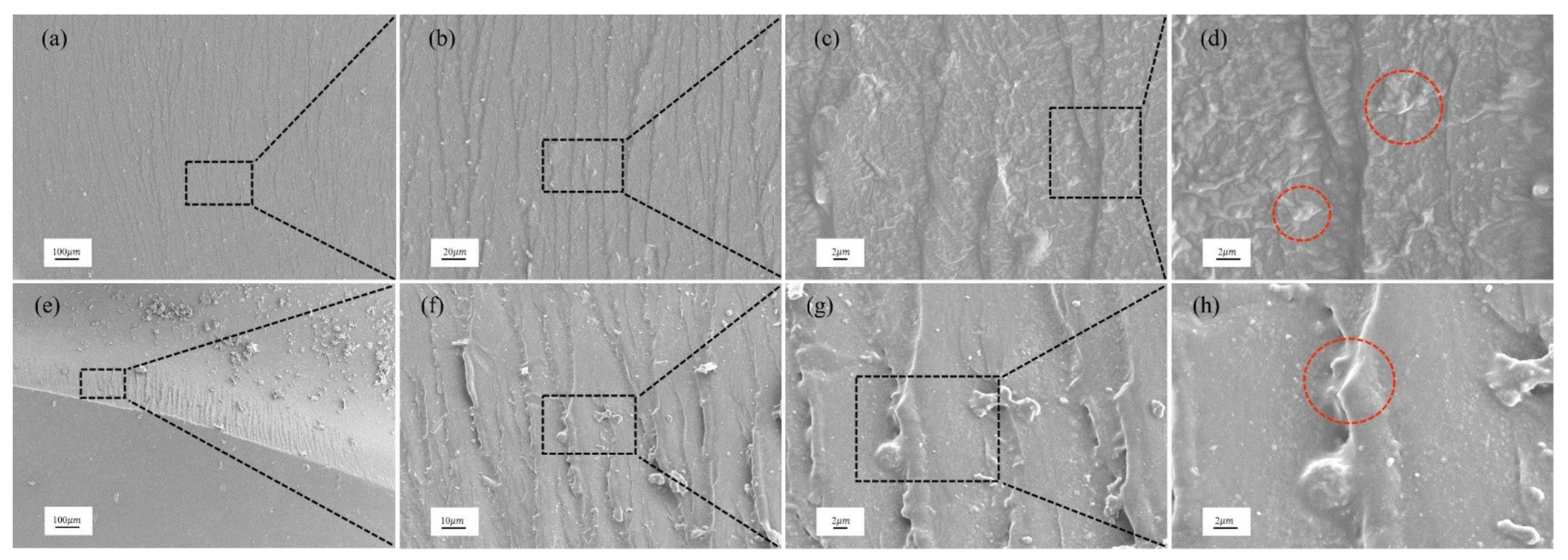 Polymers 14 03618 g008 550