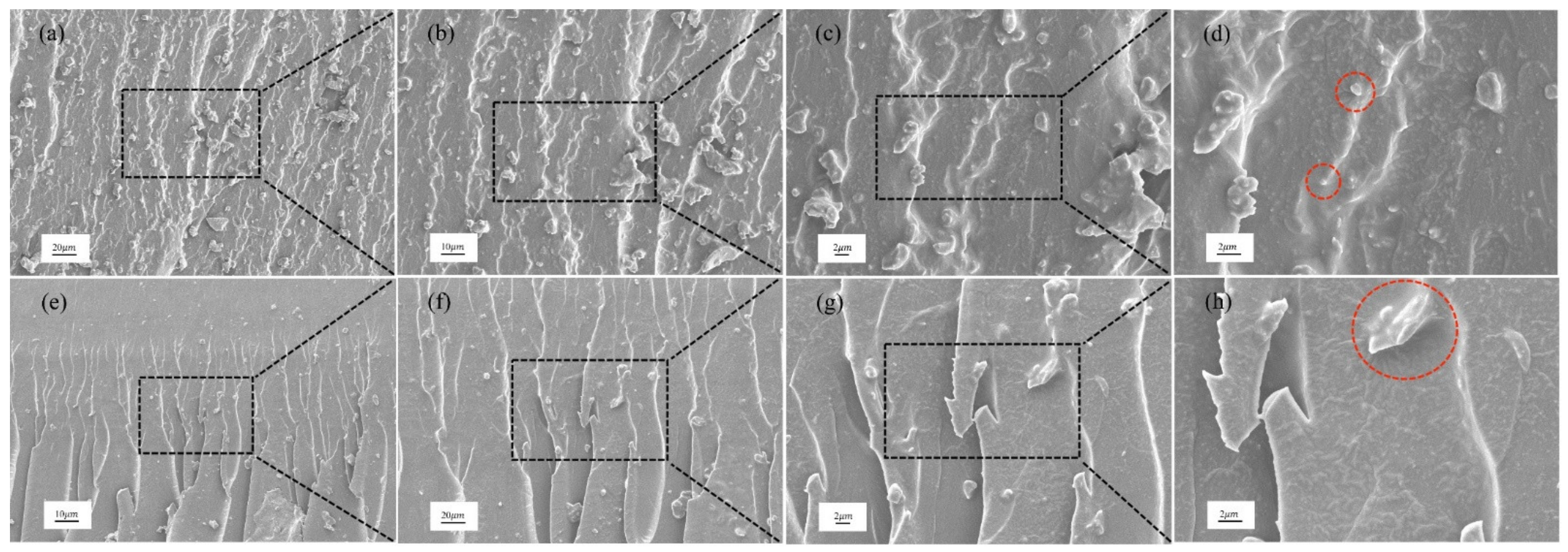 Polymers 14 03618 g009 550