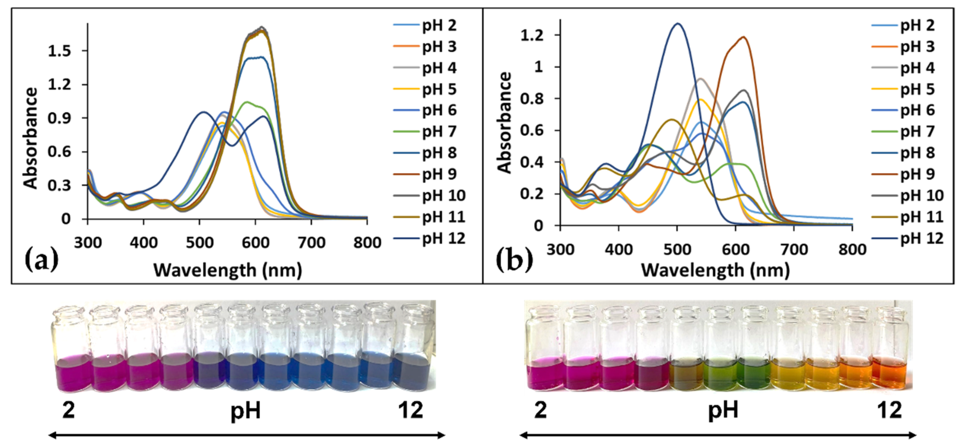 Polymers 14 03622 g002 550
