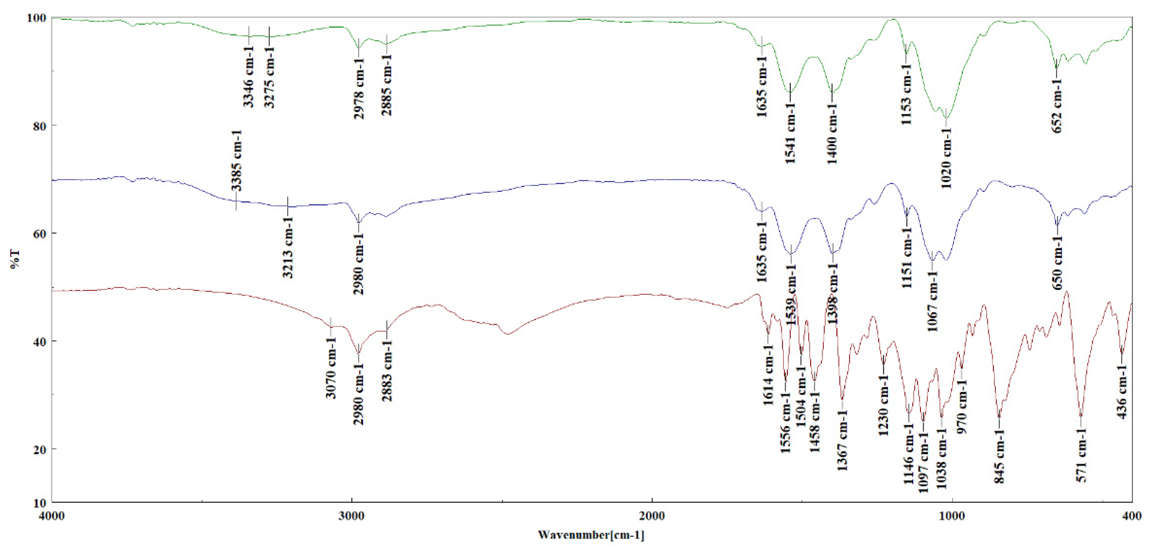 Polymers 14 03622 g004 550
