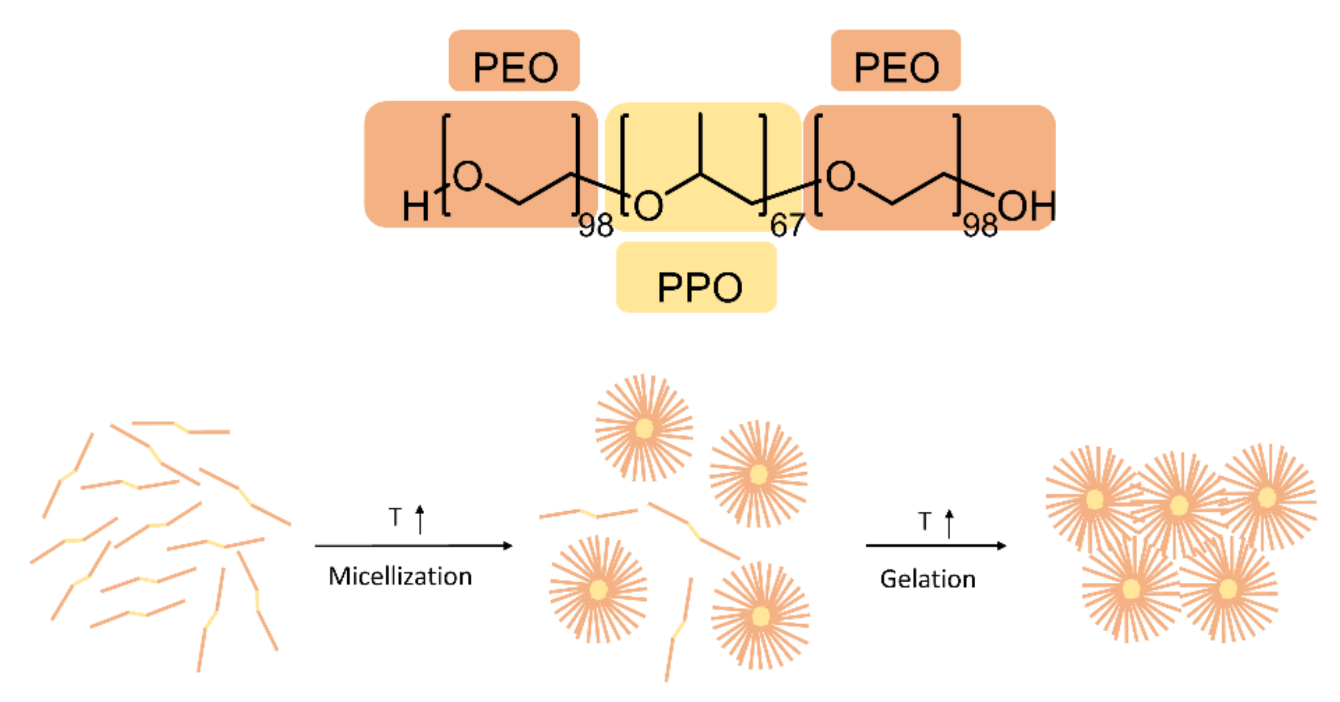 Polymers 14 03624 g001 550