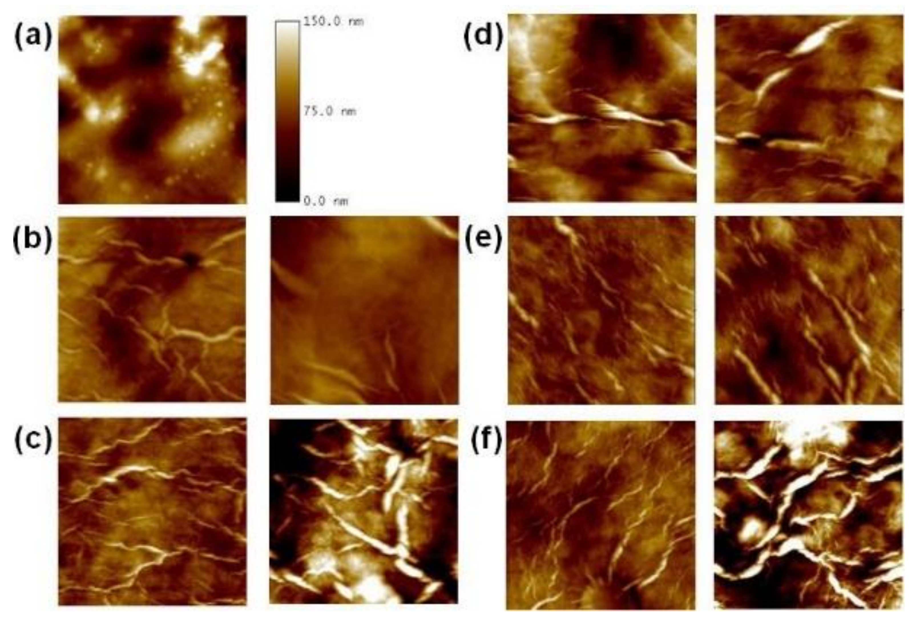 Polymers 14 03624 g006 550
