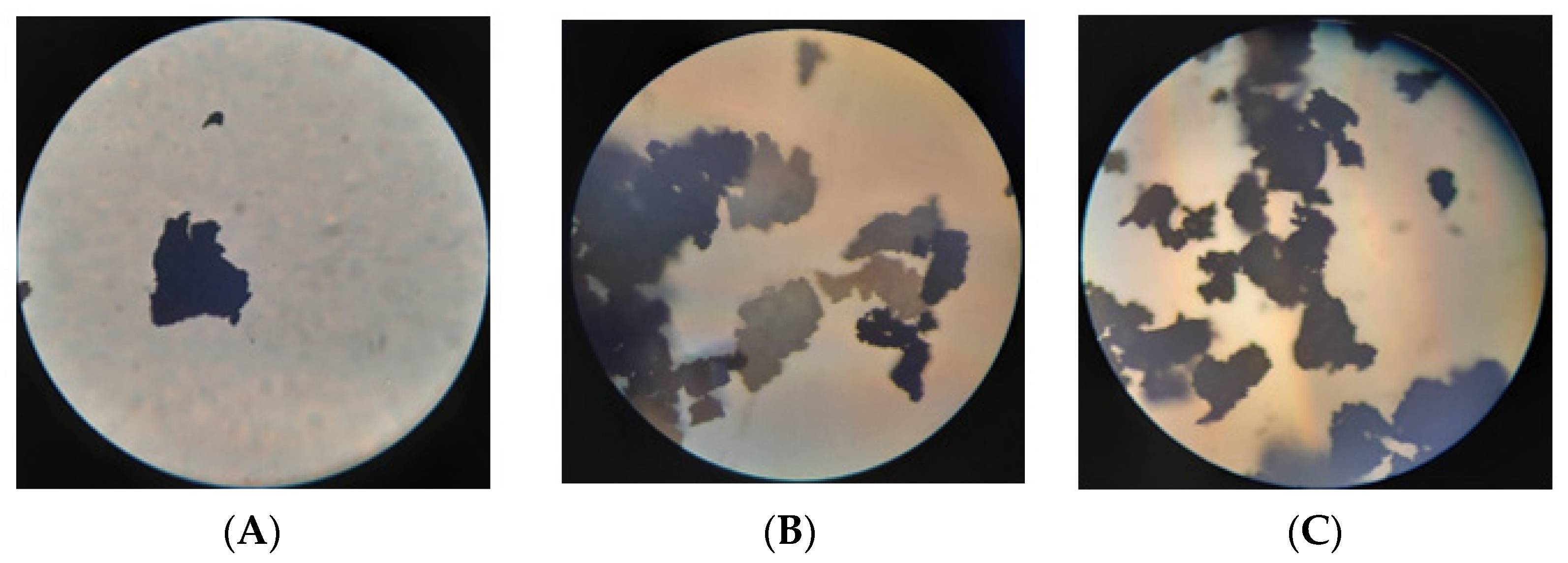 Polymers 14 03627 g003