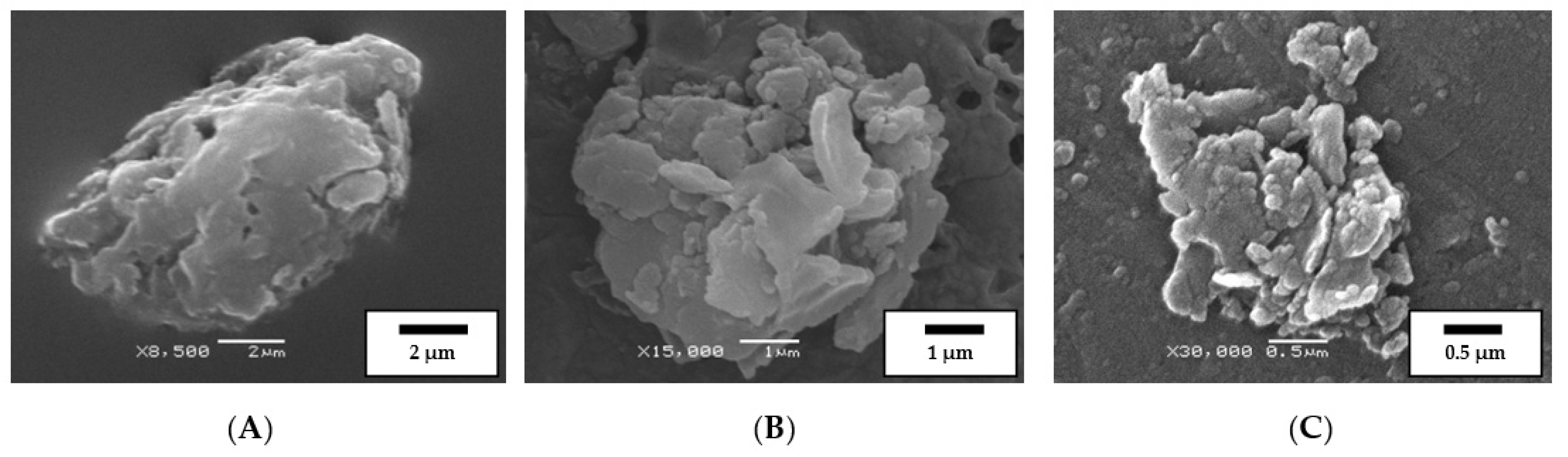 Polymers 14 03627 g004