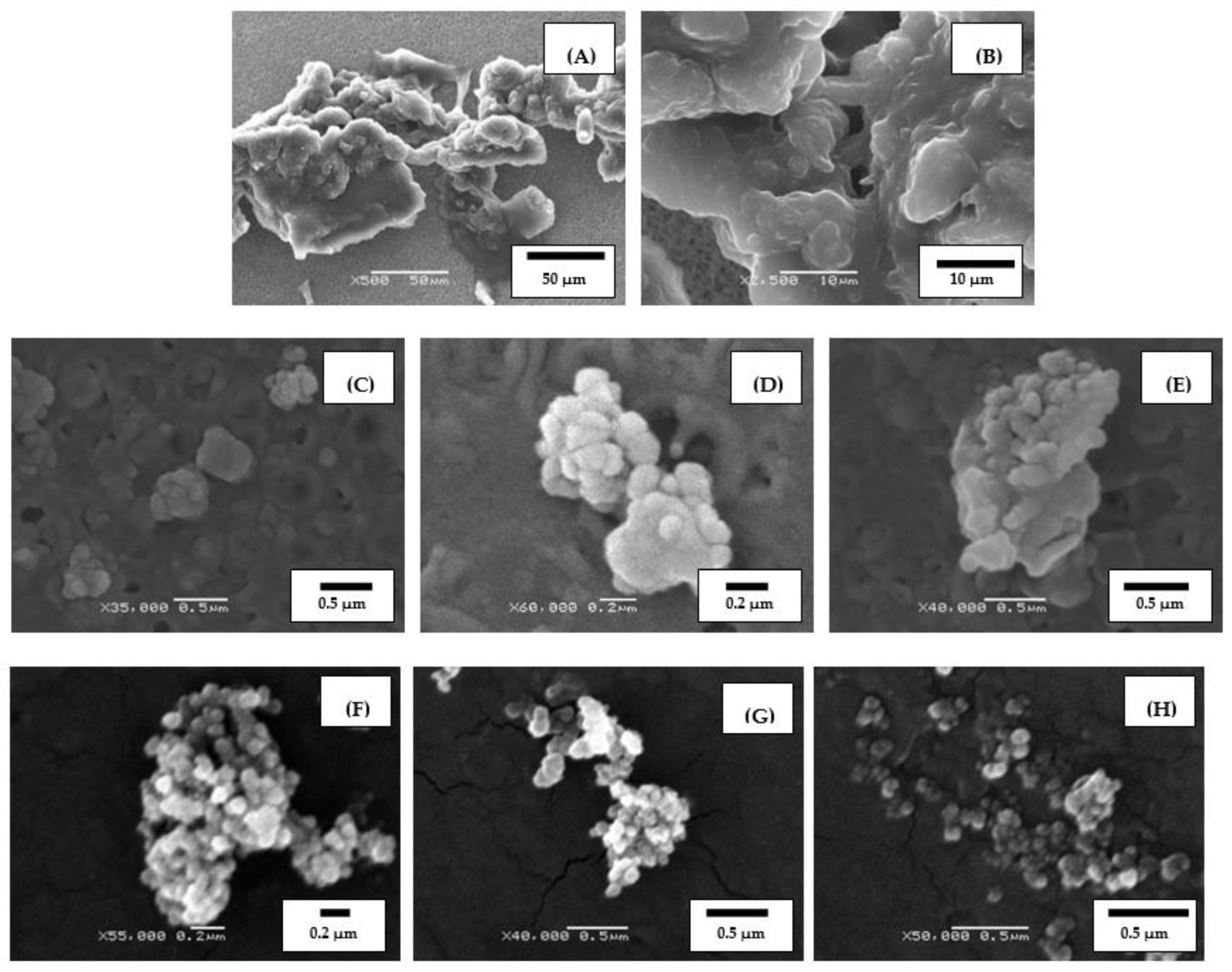 Polymers 14 03627 g006