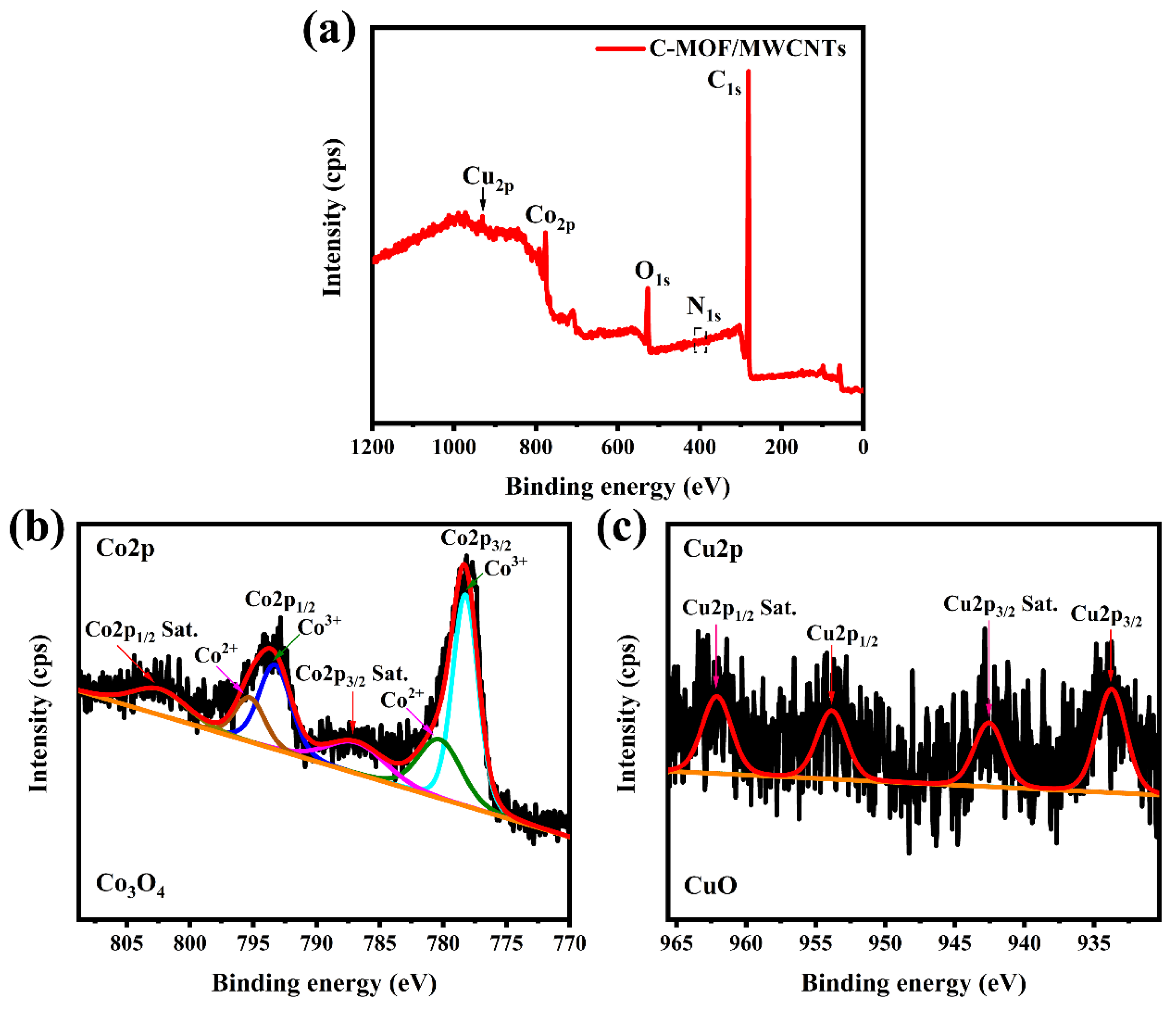Polymers 14 03630 g002
