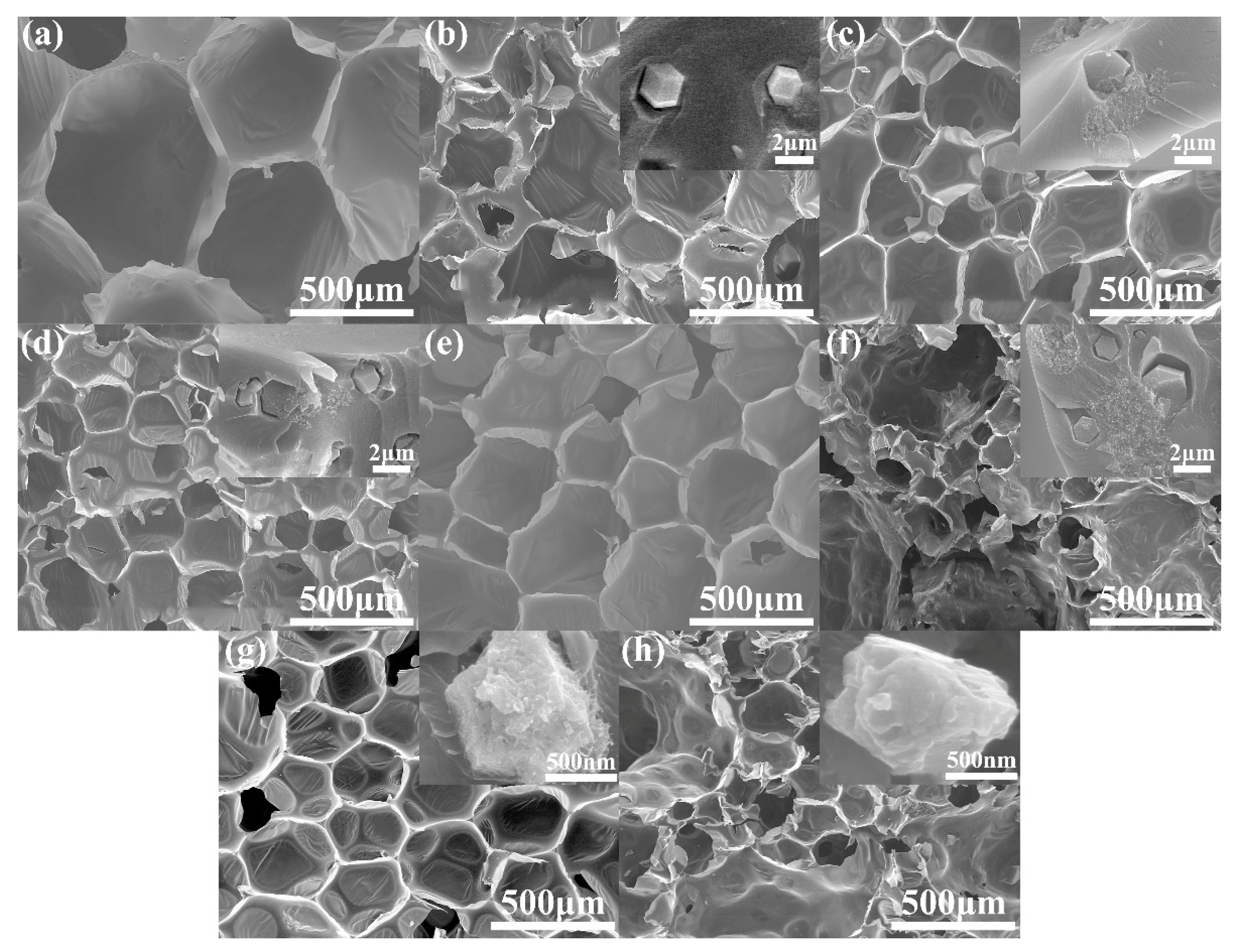 Polymers 14 03630 g008