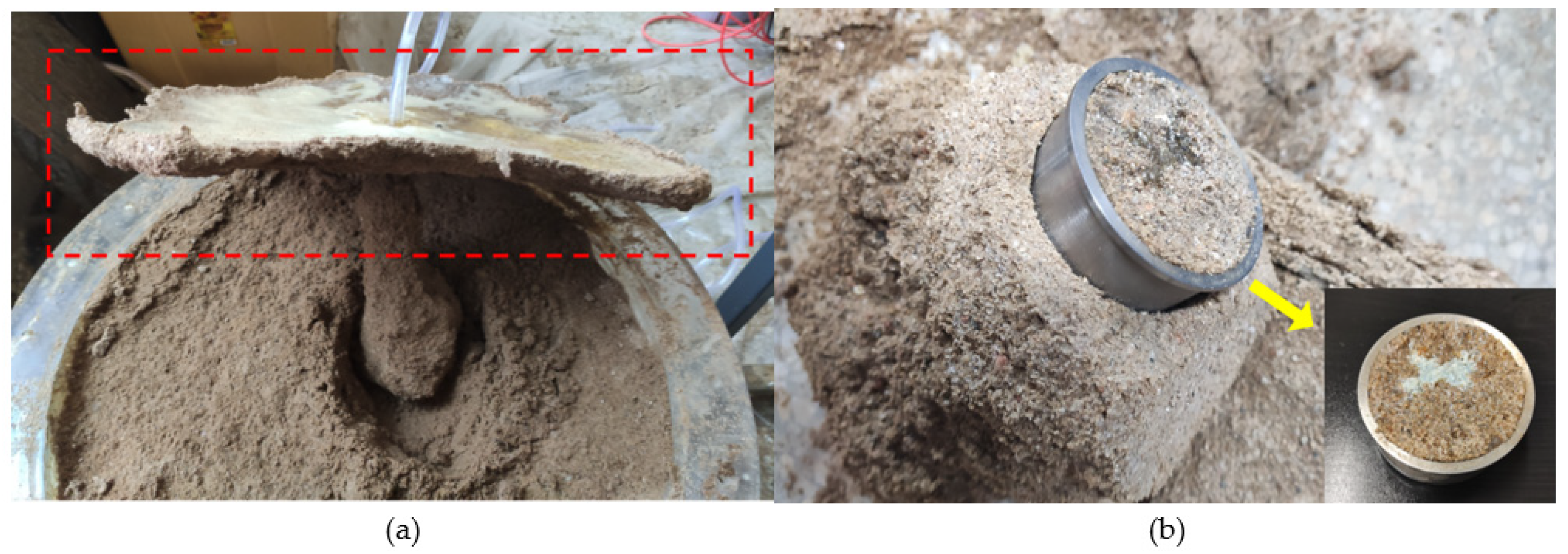 Polymers 14 03635 g008